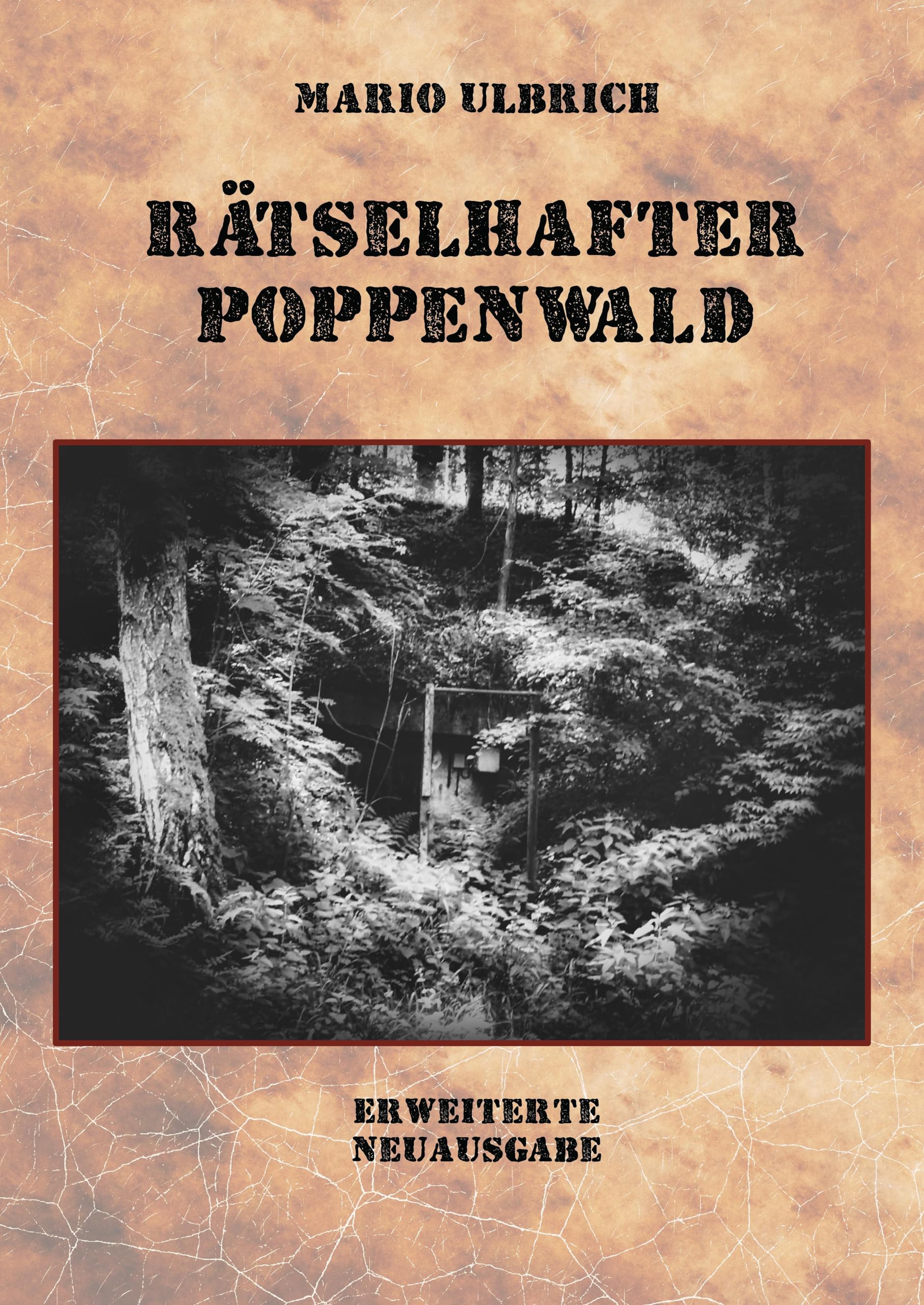 Rätselhafter Poppenwald. Eine Expedition auf den Spuren des verschollenen Bernsteinzimmers.: Erweiterte Neuausgabe. Politics & History