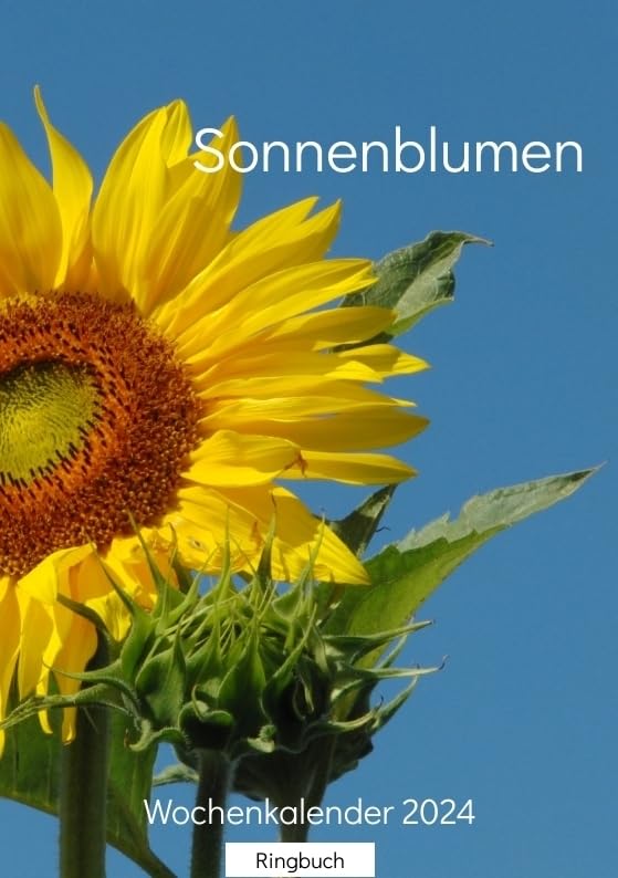 Sonnenblumen: Wochenkalender 2024 Lifestyle