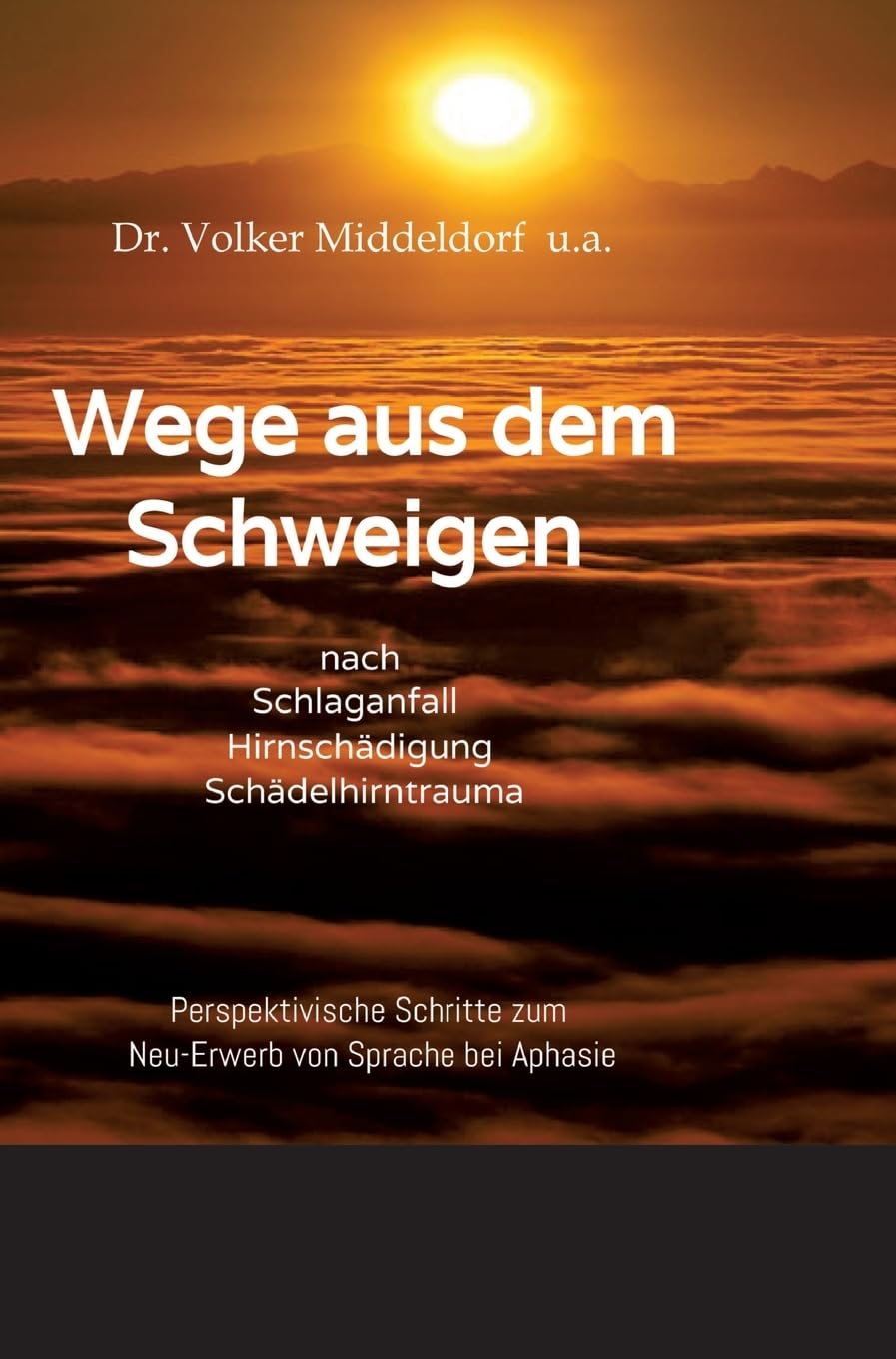 Wege aus dem Schweigen - nach Schlaganfall, Hirnschädigung, Schädelhirntrauma: Perspektivische Überlegungen zum Neu-Erwerb von Sprache bei Aphasie Social Sciences
