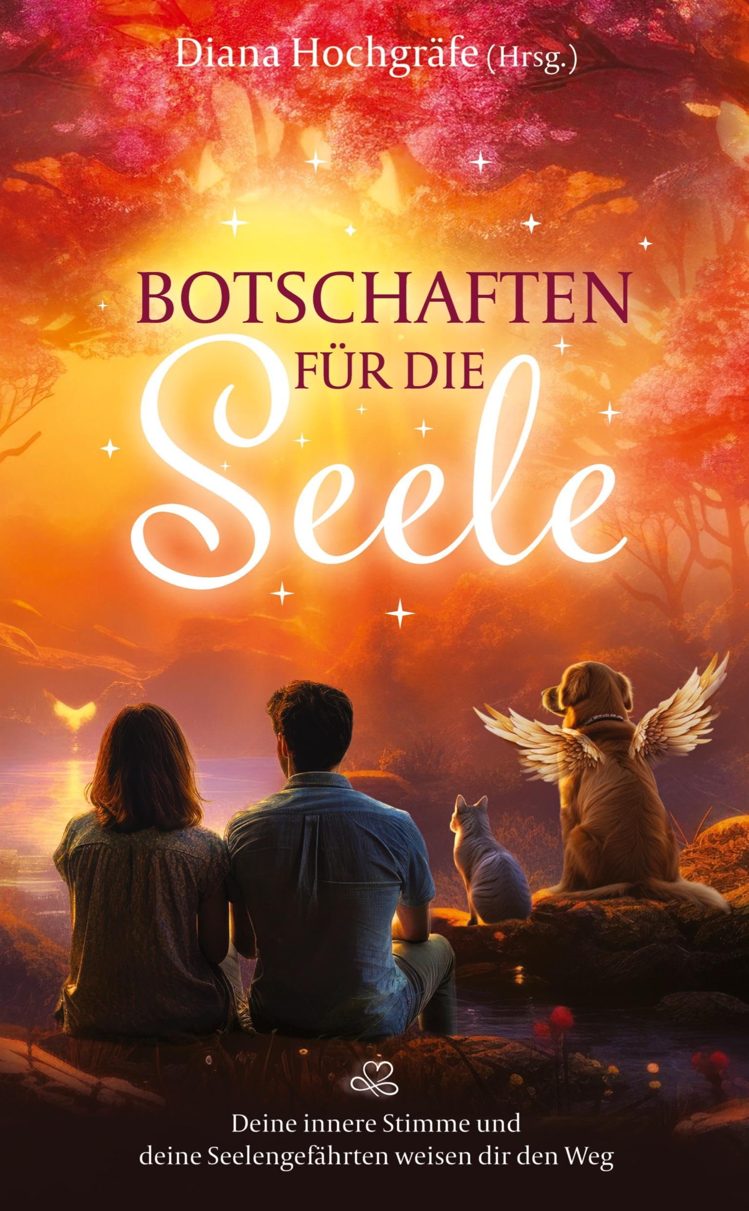 Botschaften für die Seele - Seelenbotschaften und Seelengeschichten, die dich inspirieren, dein Herz zu öffnen, deiner Intuition zu vertrauen und deinen Seelenplan zu leben Death & Mourning