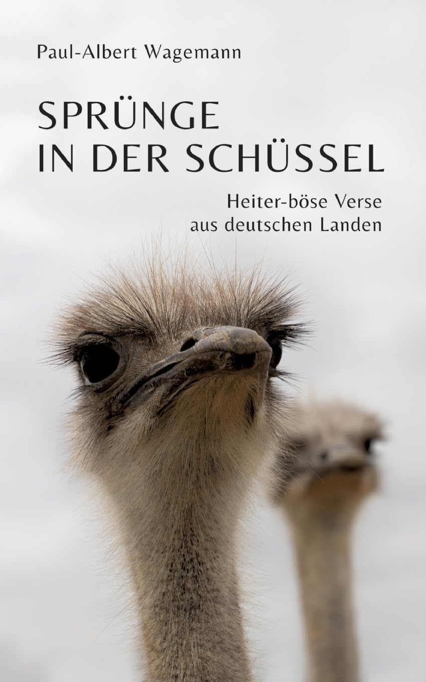 Sprünge in der Schüssel - 148 zeitgeistkritische Gedichte im Stil von Limericks: Heiter-böse Verse aus deutschen Landen - für Liebhaber von Nonsens, Satire und schrägem Humor Contemporary literature Books