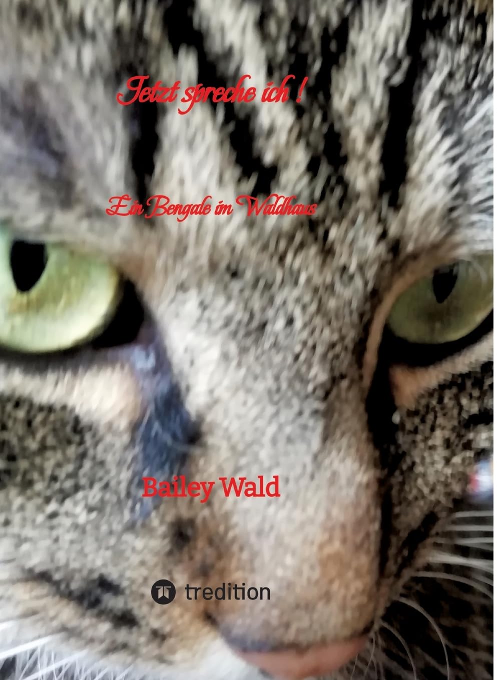 Jetzt spreche ich ! FIV Kater Bailey berichtet aus seinen Leben: Ein Bengale im Waldhaus Humour & Satire
