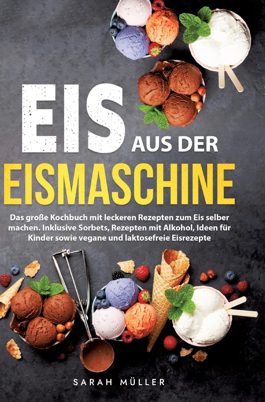 Eis aus der Eismaschine Leisure, Home & Garden