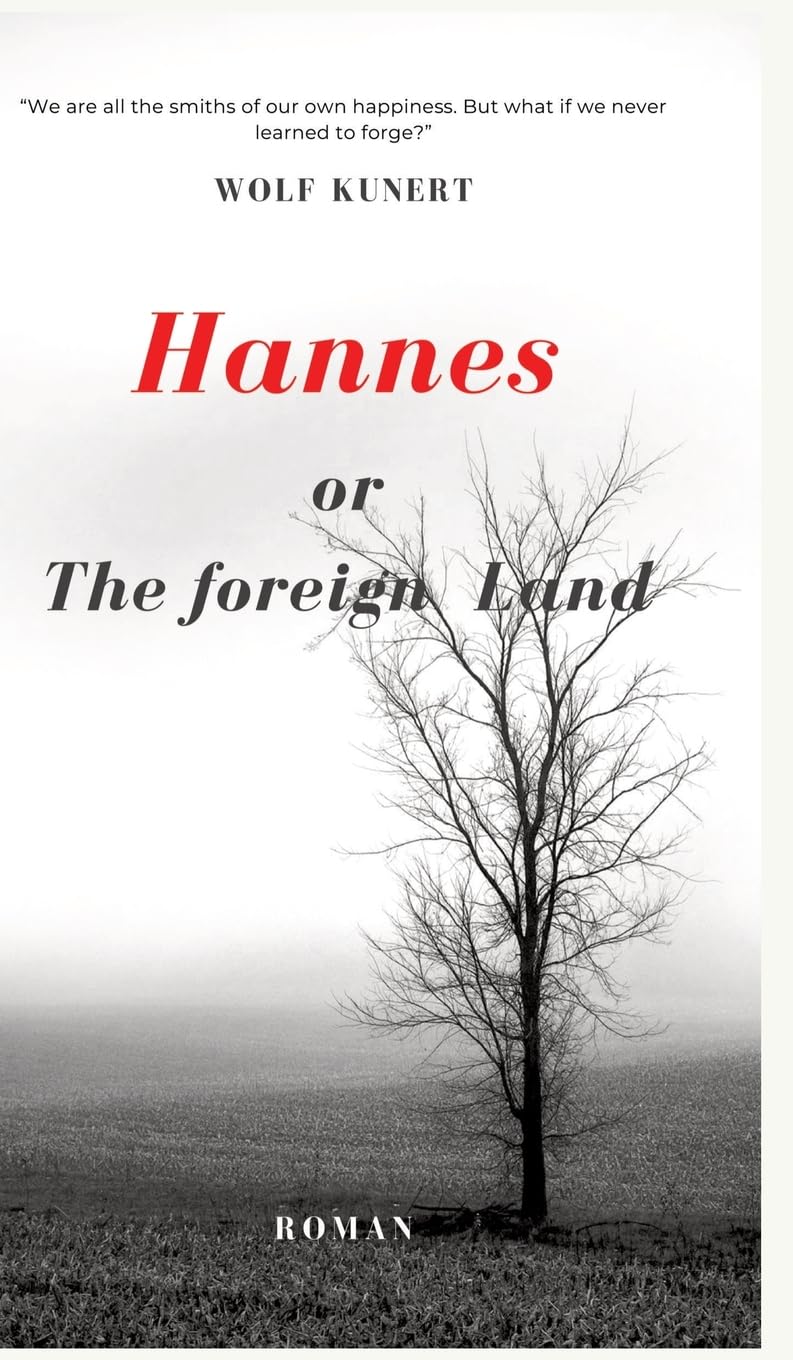 Hannes or The foreign Land: We are all the architects of our own happiness. But what if we never learned to forge? Contemporary literature