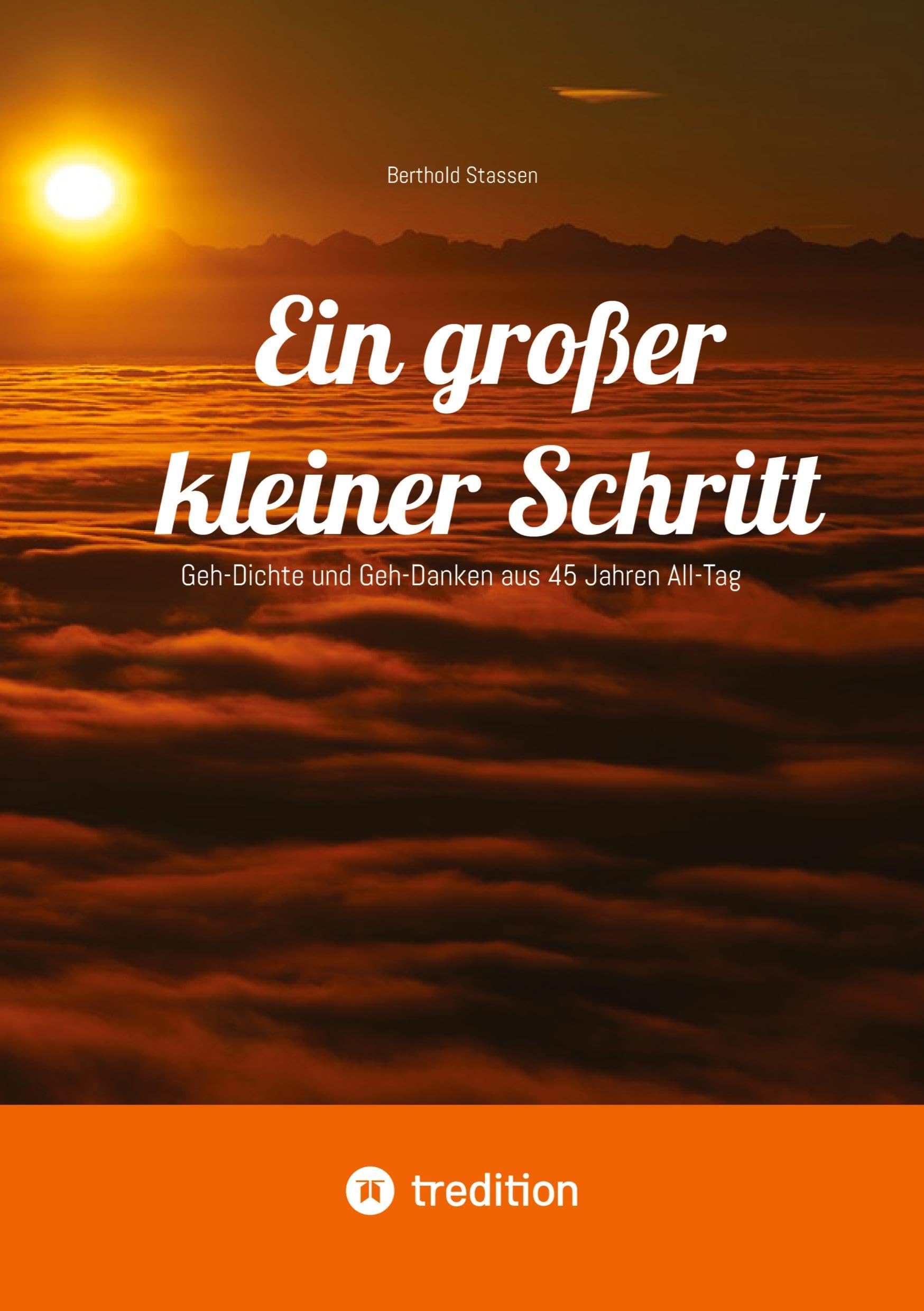 Ein großer kleiner Schritt - Gedichte, Gedanken, Essays book