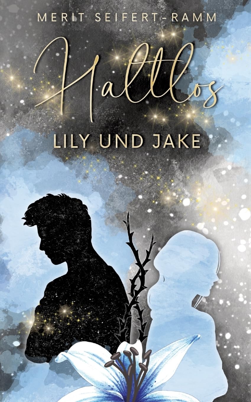 Haltlos - Lily  und Jake Contemporary literature