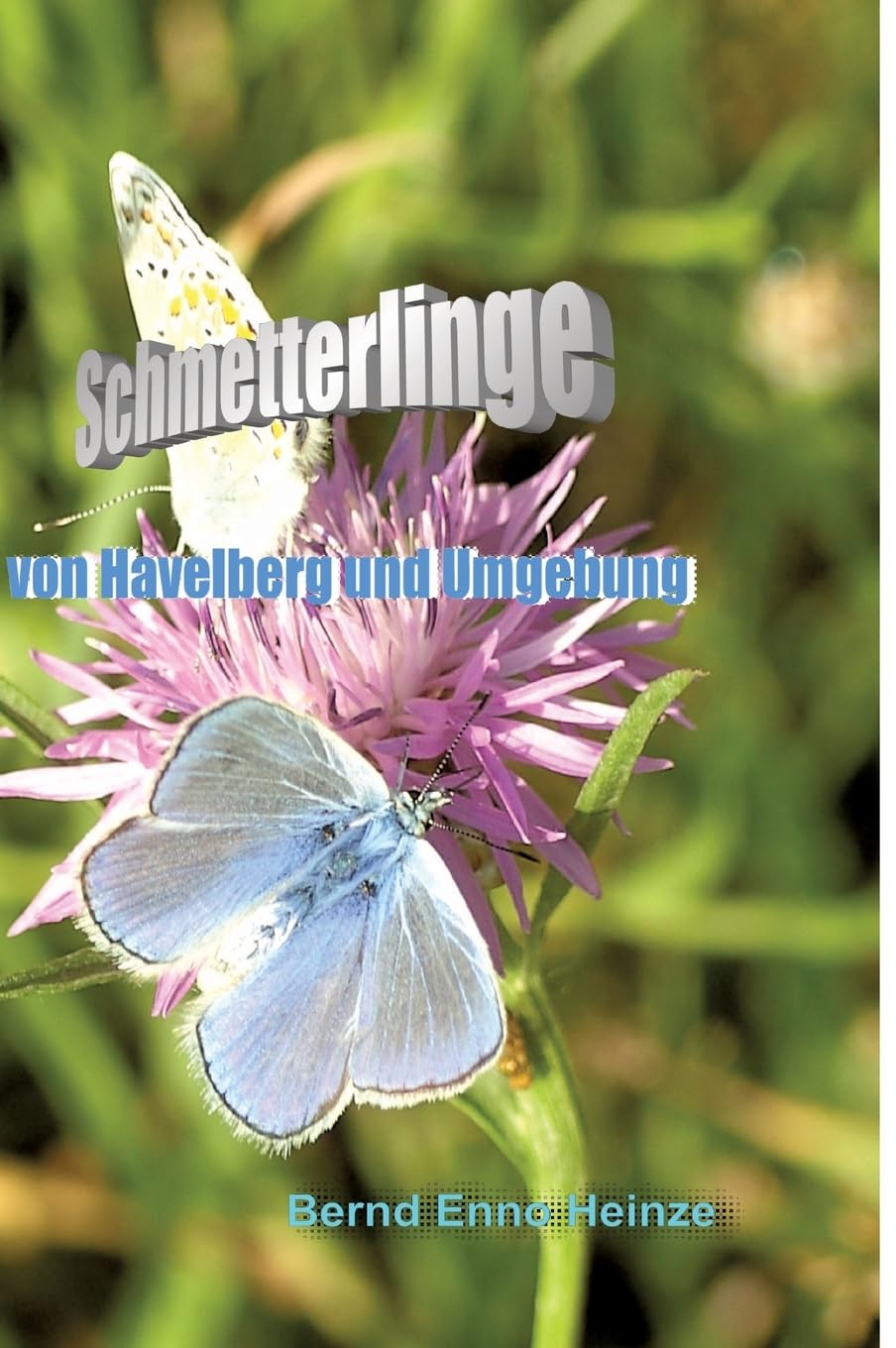Schmetterlinge von Havelberg und Umgebung: DE Natural Sciences