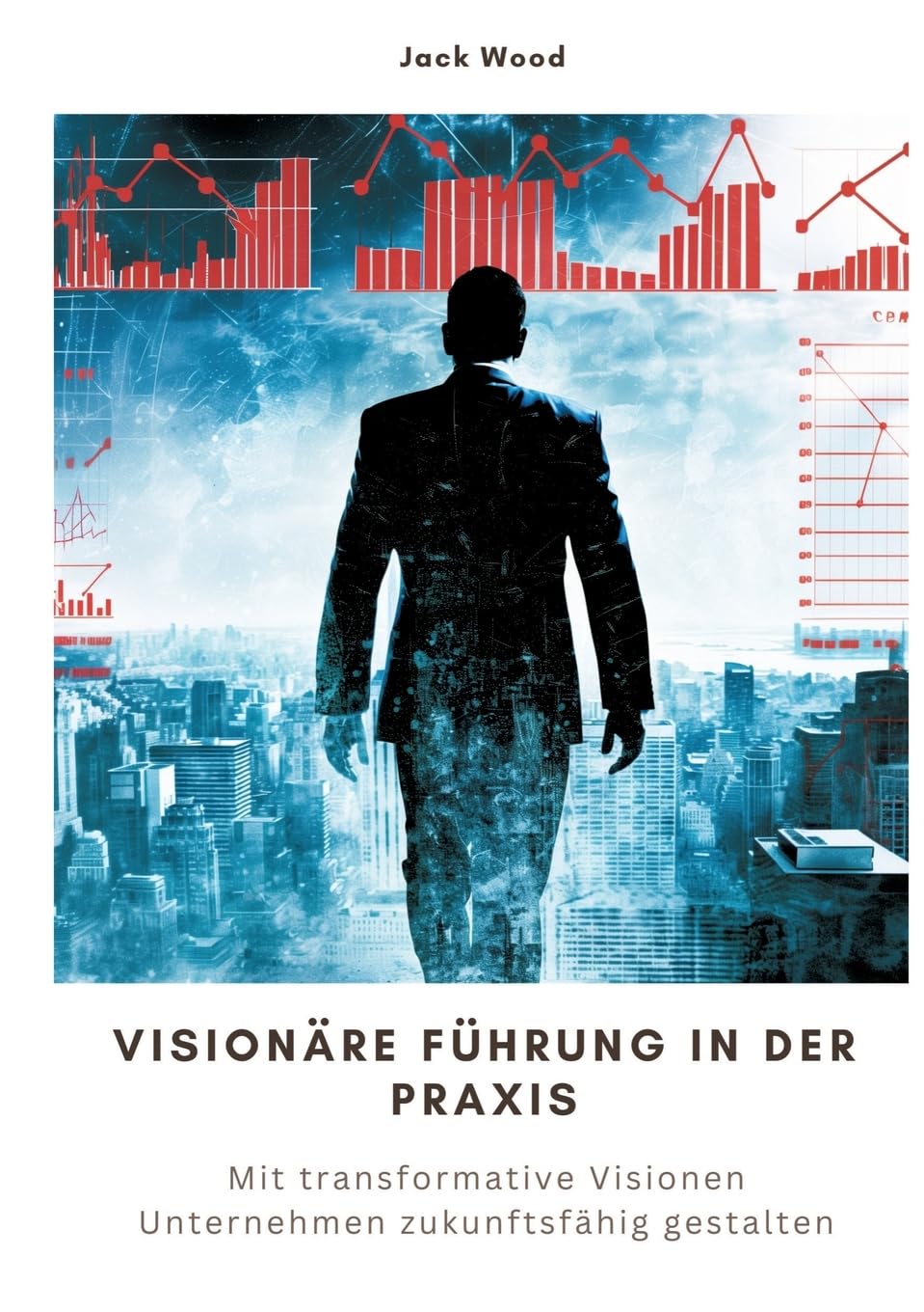 Visionäre Führung in der Praxis: Mit transformative Visionen Unternehmen zukunftsfähig gestalten Law