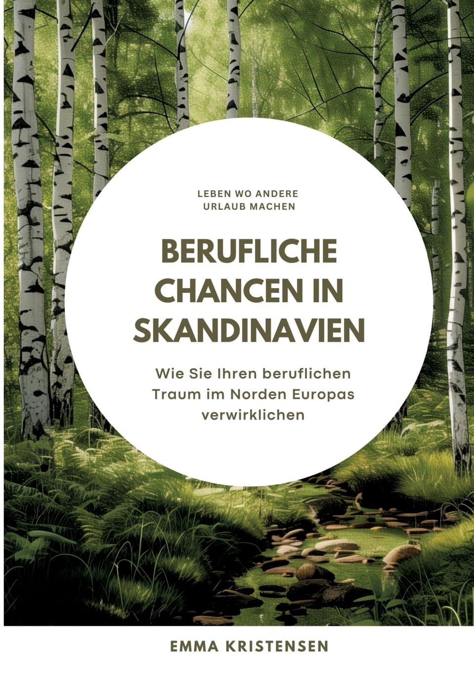 Berufliche Chancen in Skandinavien: Wie Sie Ihren beruflichen Traum im Norden Europas verwirklichen Business, Finance & Career