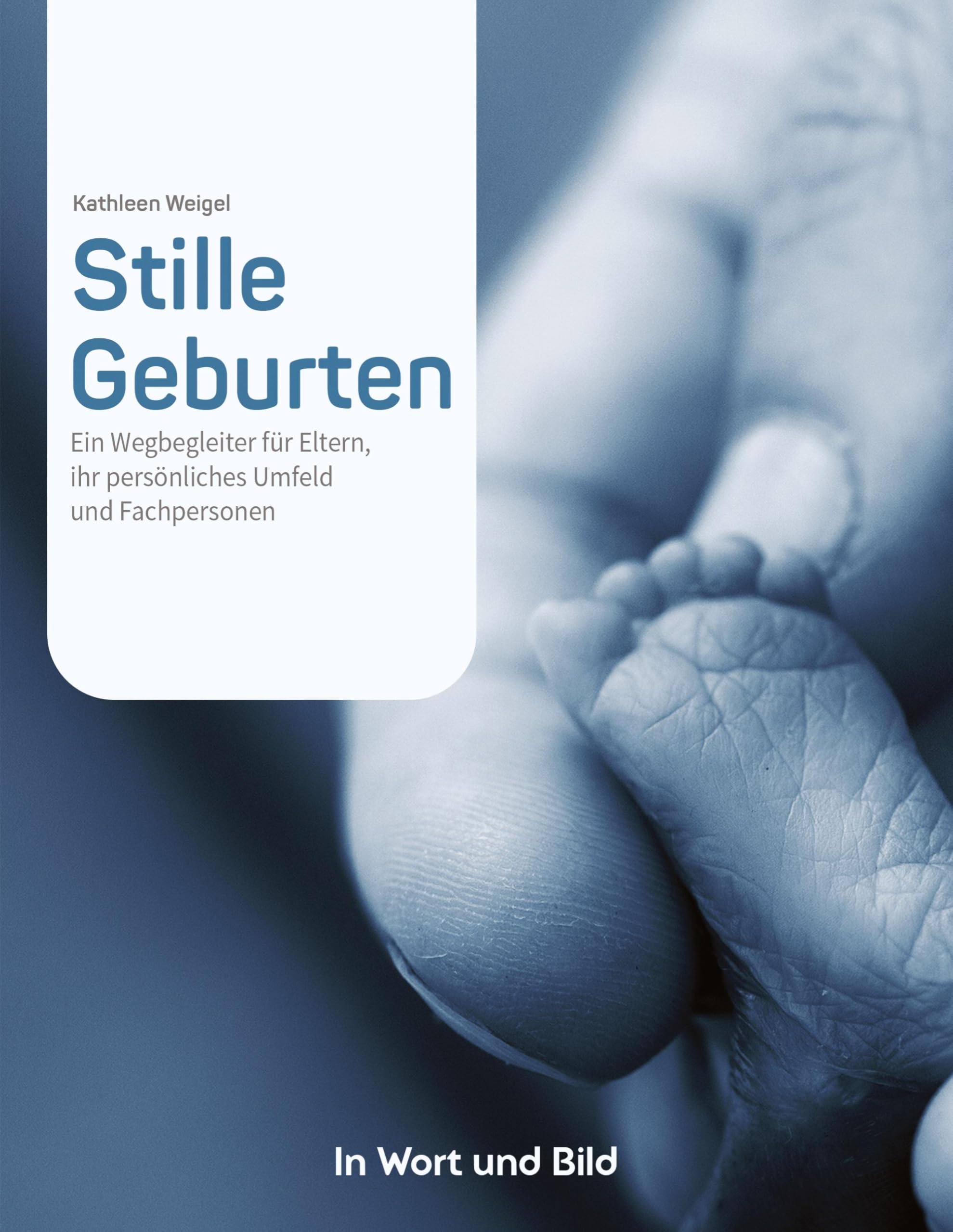 Stille Geburten - Eltern von Sternenkindern und Menschen, die beruflich oder ehrenamtlich mit ihnen zu tun haben, erzählen von ihren Erlebnissen. Social Sciences