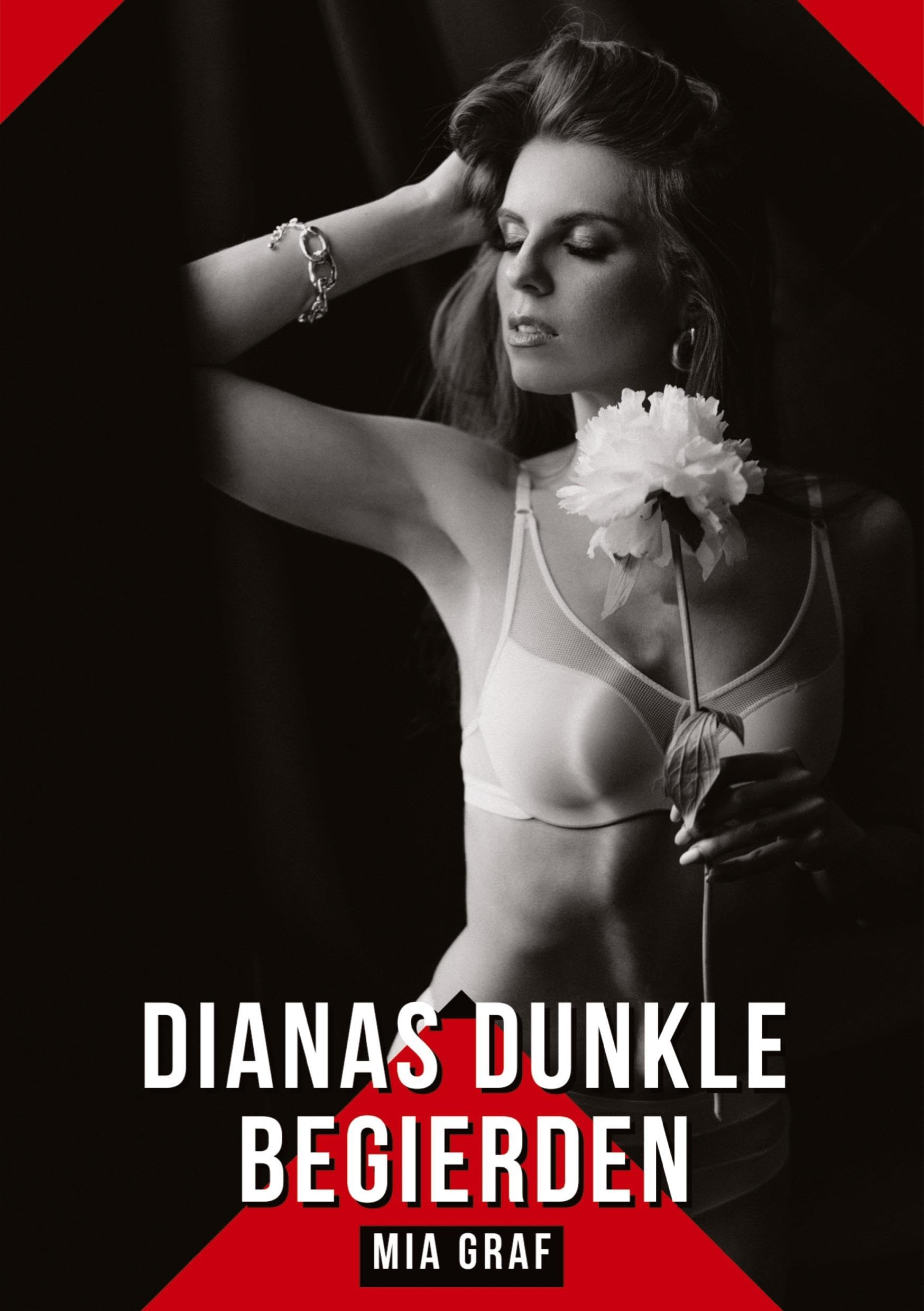 Dianas dunkle Begierden: Geschichten mit explizitem Sex für Erwachsene (Bündel von expliziten, schmutzigen und perversen Tabu-Erotik-Geschichten für ... für prickelnde, unzensierte Momente.) Essays & Short Stories