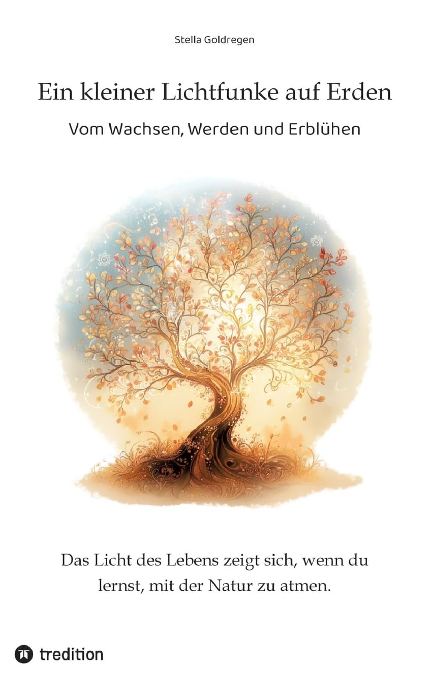 Ein kleiner Lichtfunke auf Erden Contemporary literature