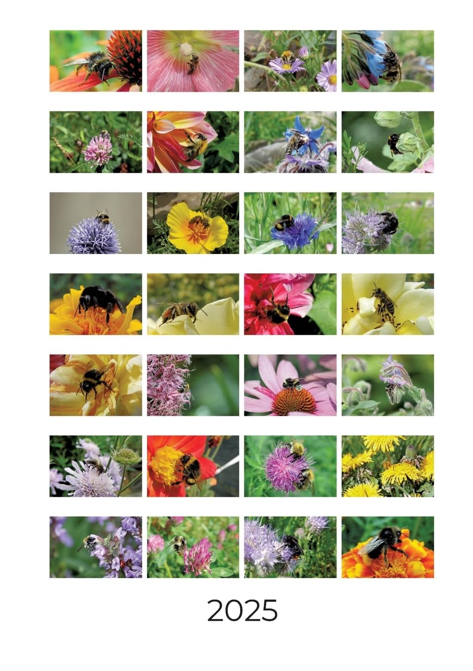 Bienen und Hummeln: Wochenkalender 2025 book
