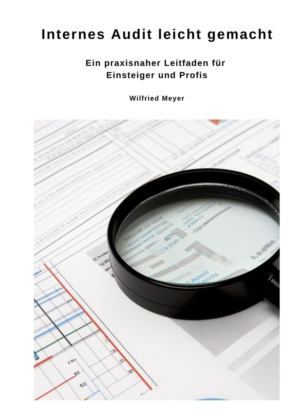 Internes Audit leicht gemacht Law