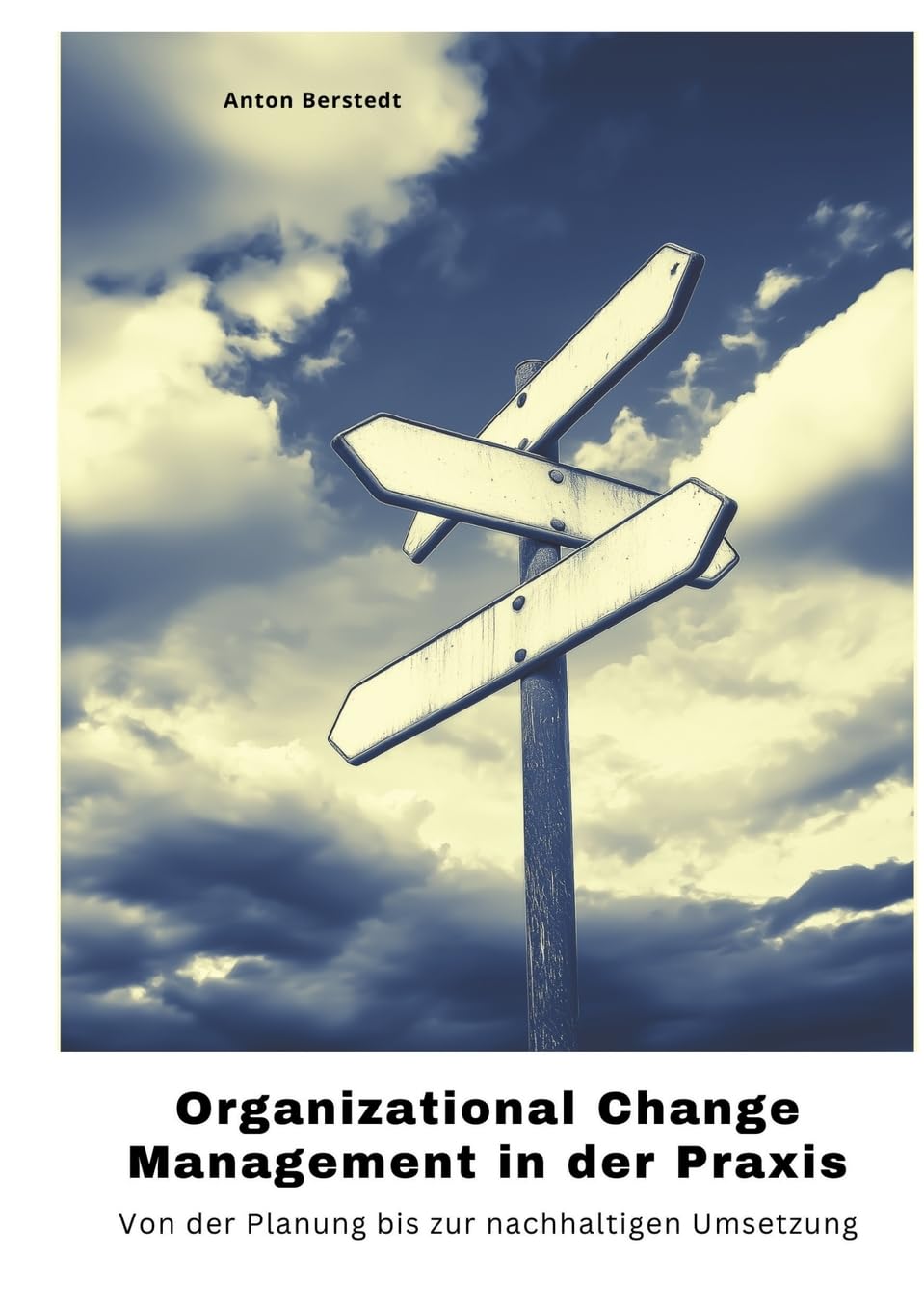 Organizational Change Management in der Praxis Law