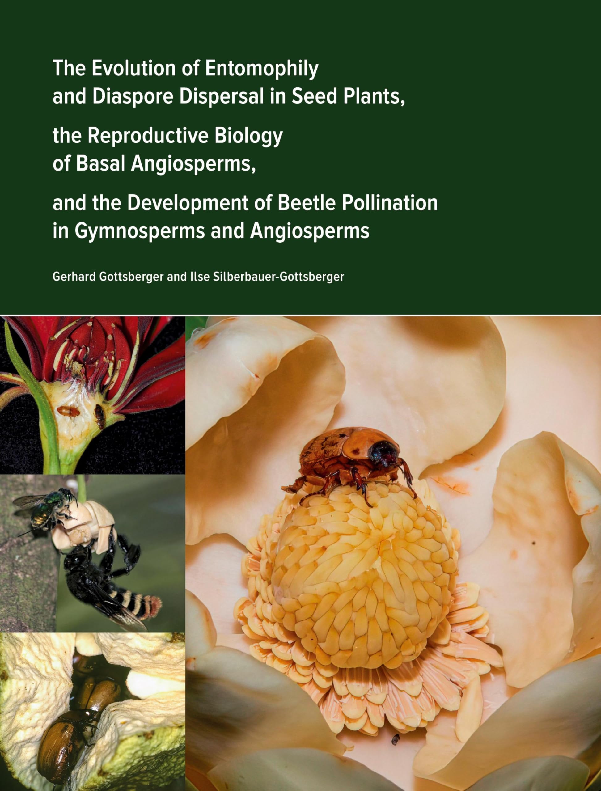 The Evolution of Entomophily and Diaspore Dispersal in Seed Plants, the Reproductive Biology of Basal Angiosperms, and the Development of Beetle Pollination in Gymnosperms and Angiosperms Natural Sciences