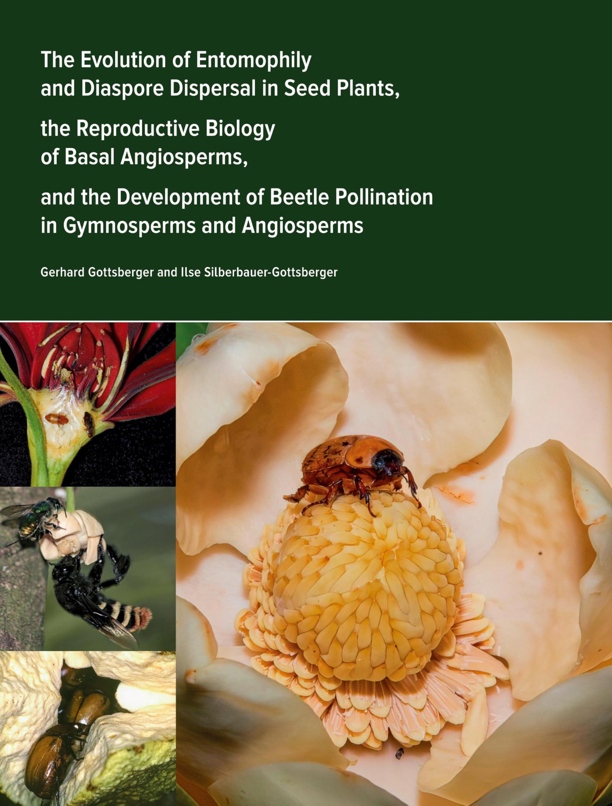 The Evolution of Entomophily and Diaspore Dispersal in Seed Plants, the Reproductive Biology of Basal Angiosperms, and the Development of Beetle Pollination in Gymnosperms and Angiosperms Natural Sciences