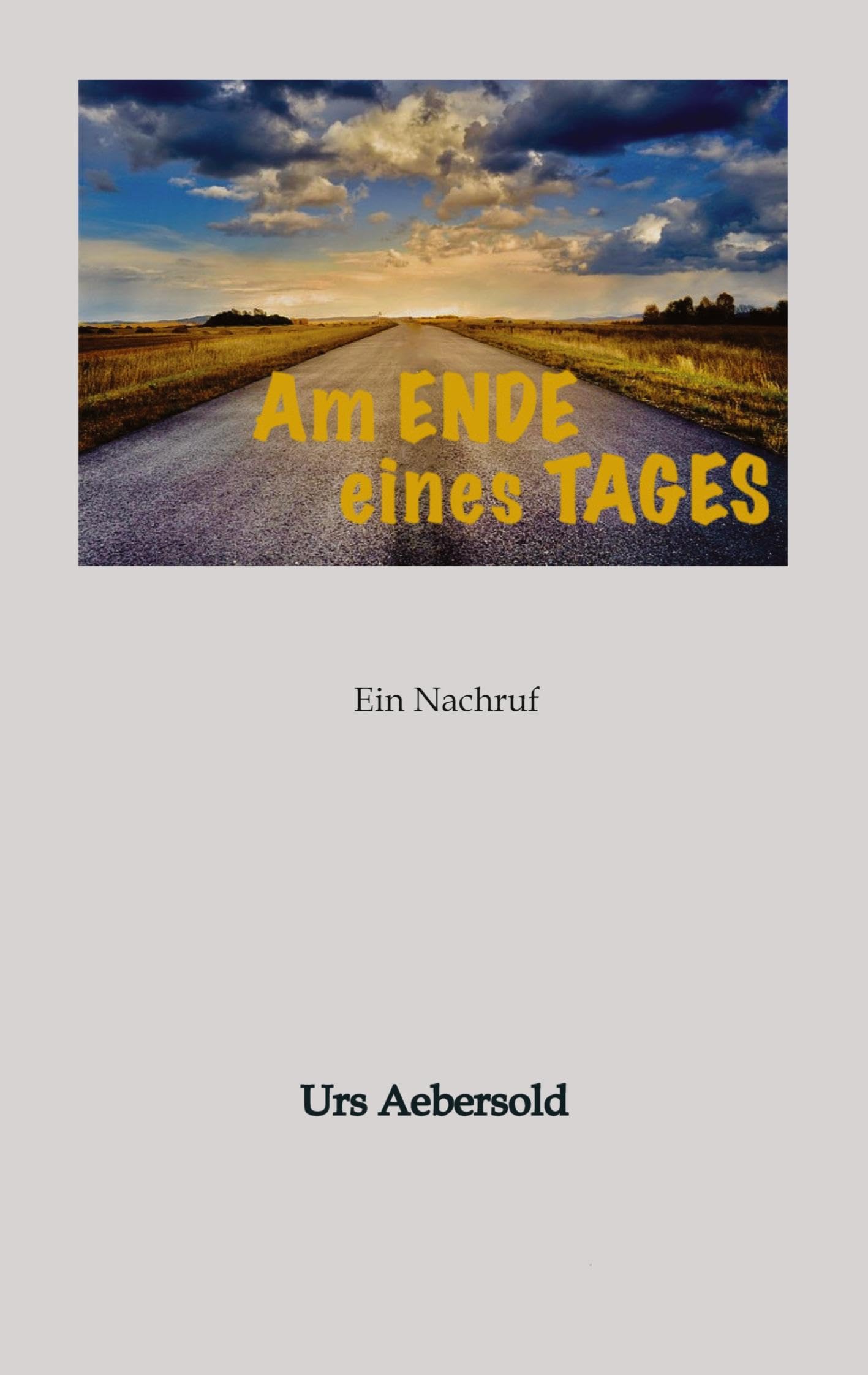 Am ENDE eines TAGES Contemporary literature Books
