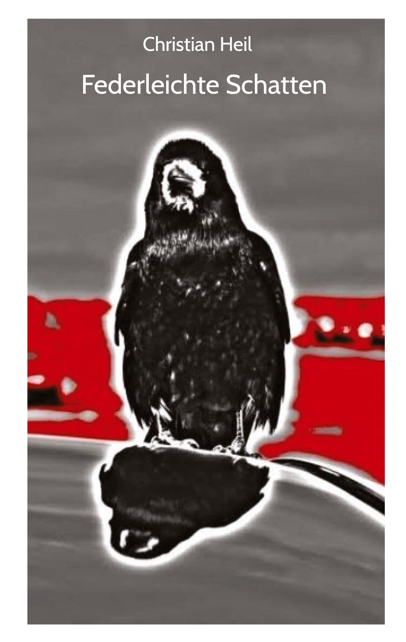 Federleichte Schatten: Gedichte Poetry