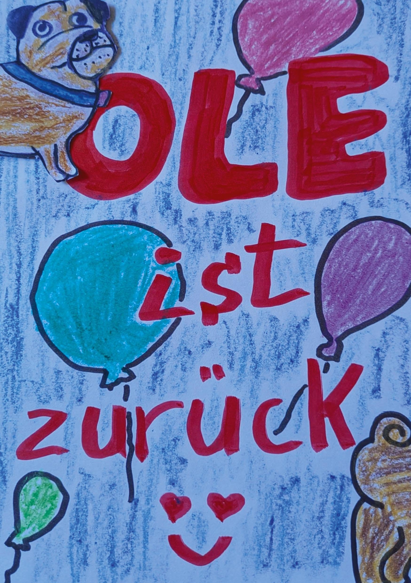 Ole ist zurück Parents & Children Books