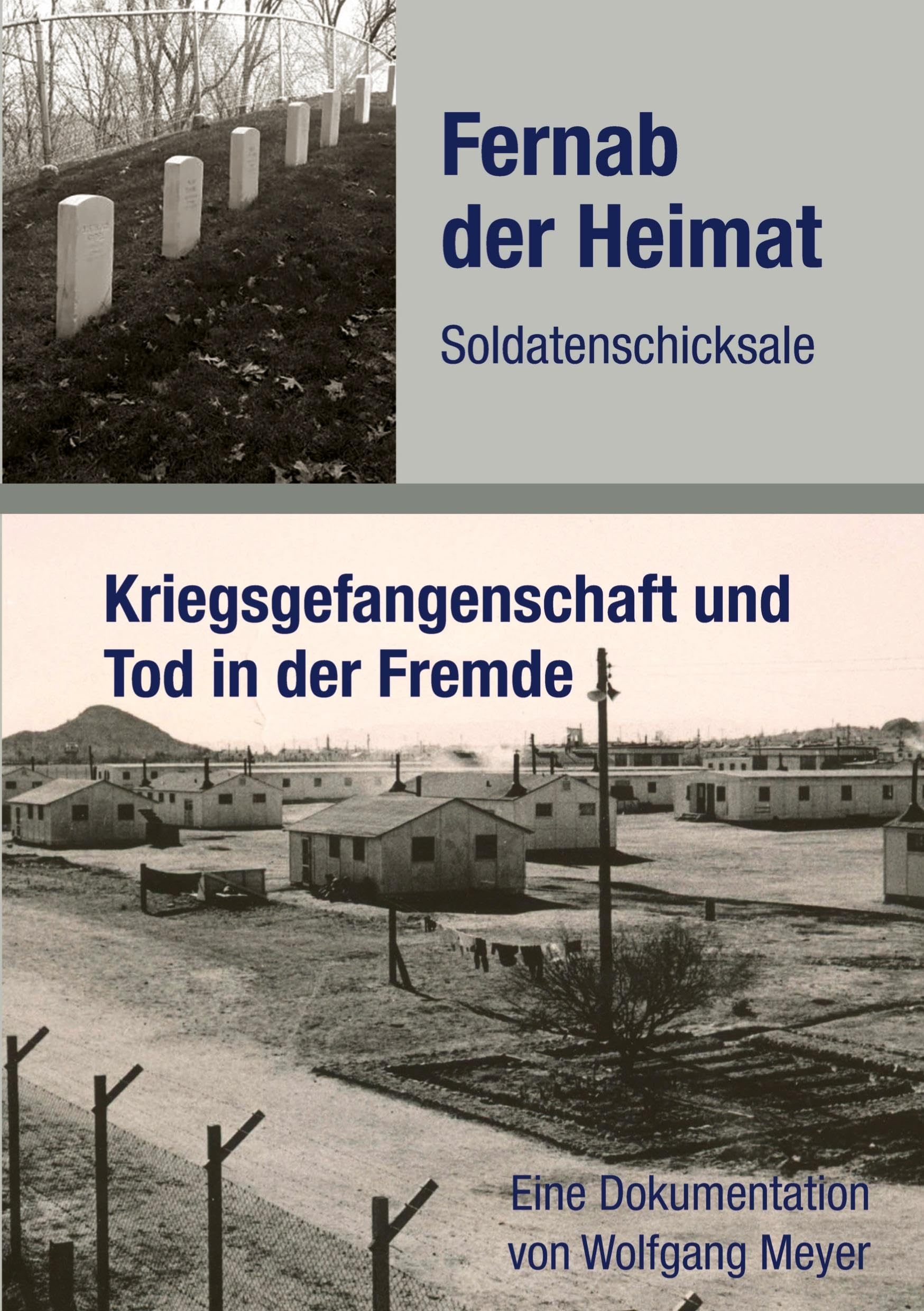Fernab der Heimat Soldatenschicksale Politics & History