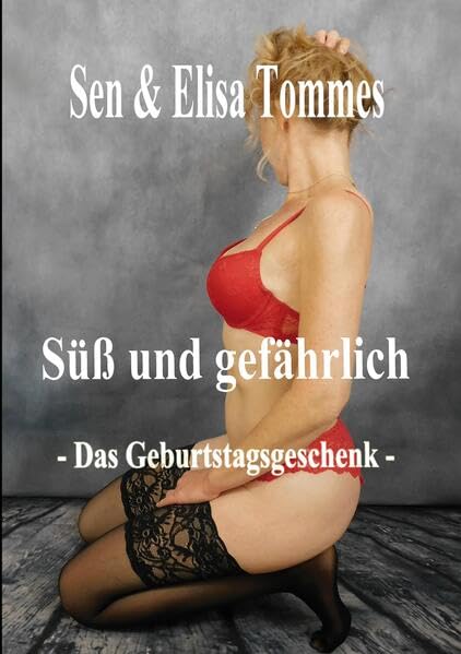 DAS GEBURTSTAGSGESCHENK: Ein erotisches Fotoshooting (SÜß UND GEFÄHRLICH: Das Geburtstagsgeschenk) Contemporary literature