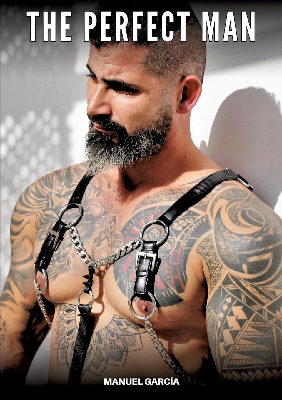 Product Image: The Perfect Man