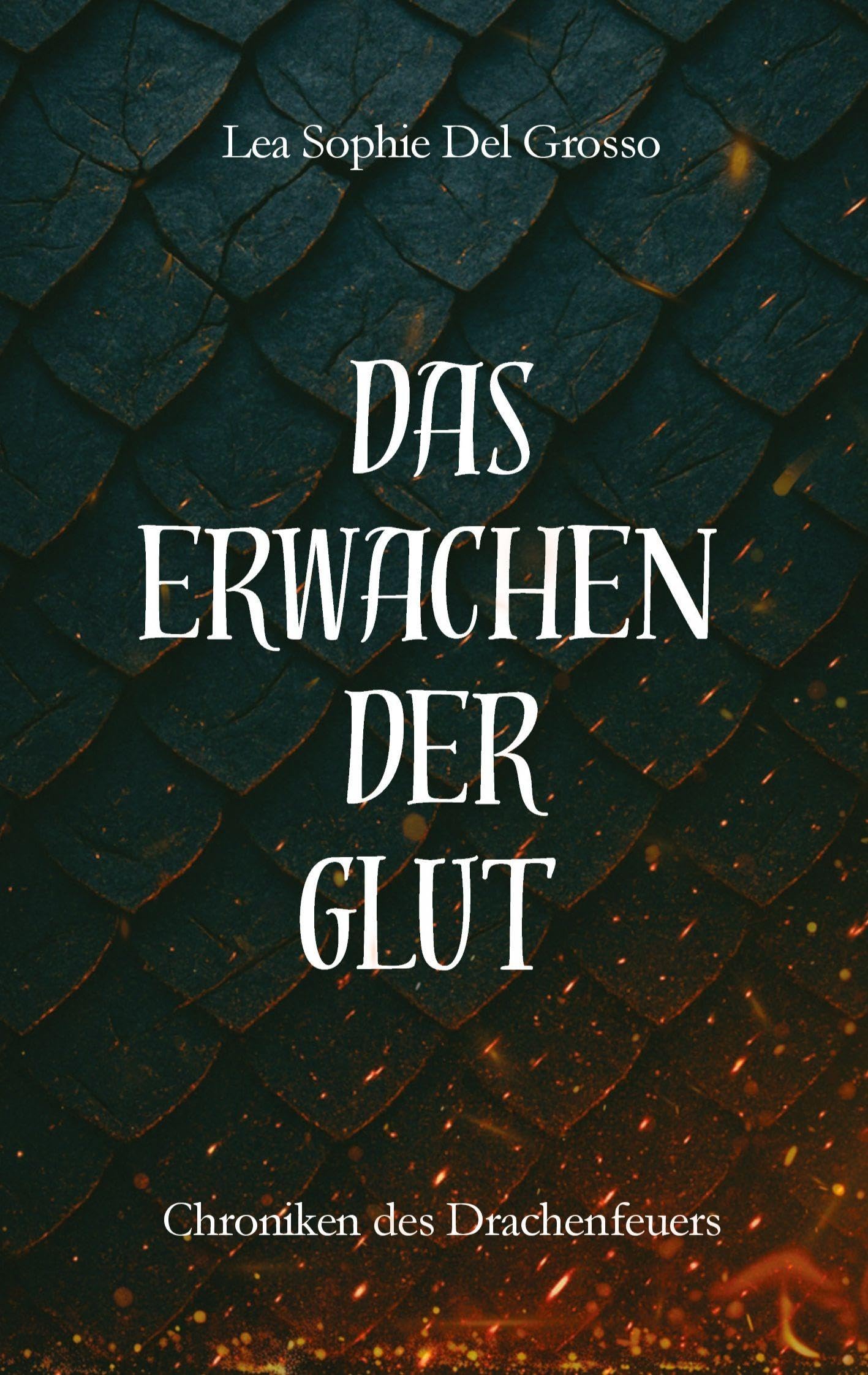 Das Erwachen der Glut Contemporary literature