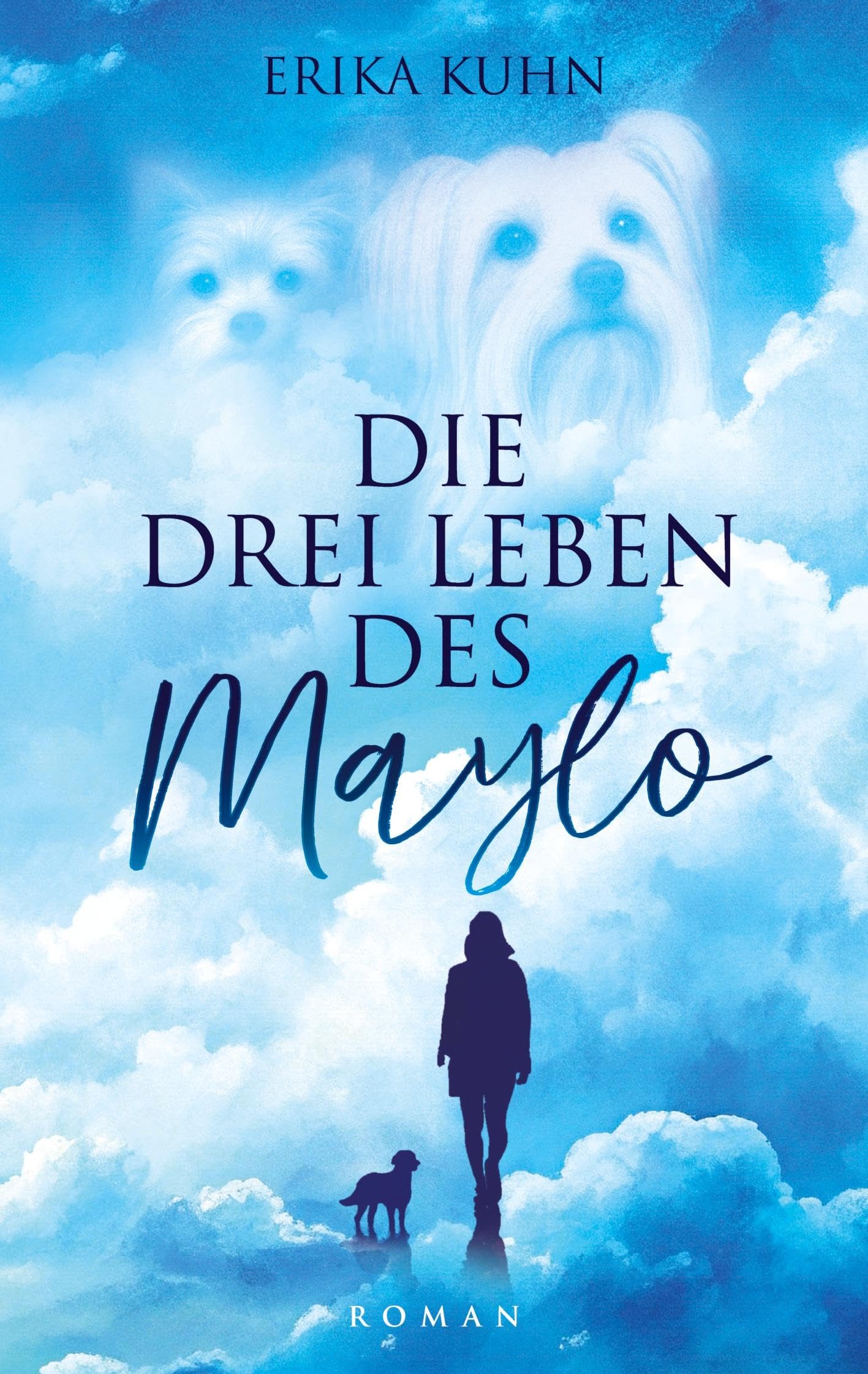 Die drei Leben des Maylo Essays & Short Stories