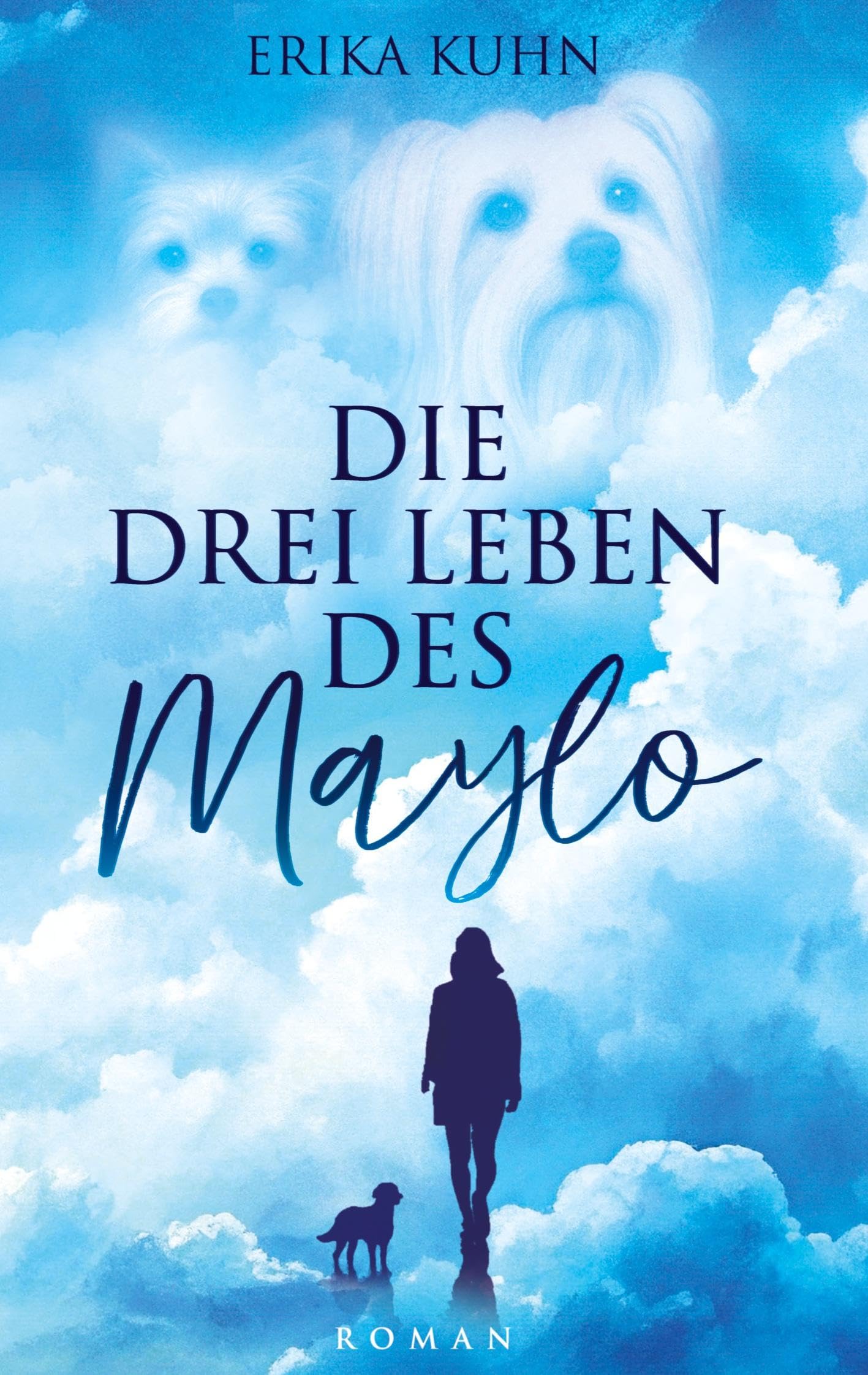 Die drei Leben des Maylo Essays & Short Stories