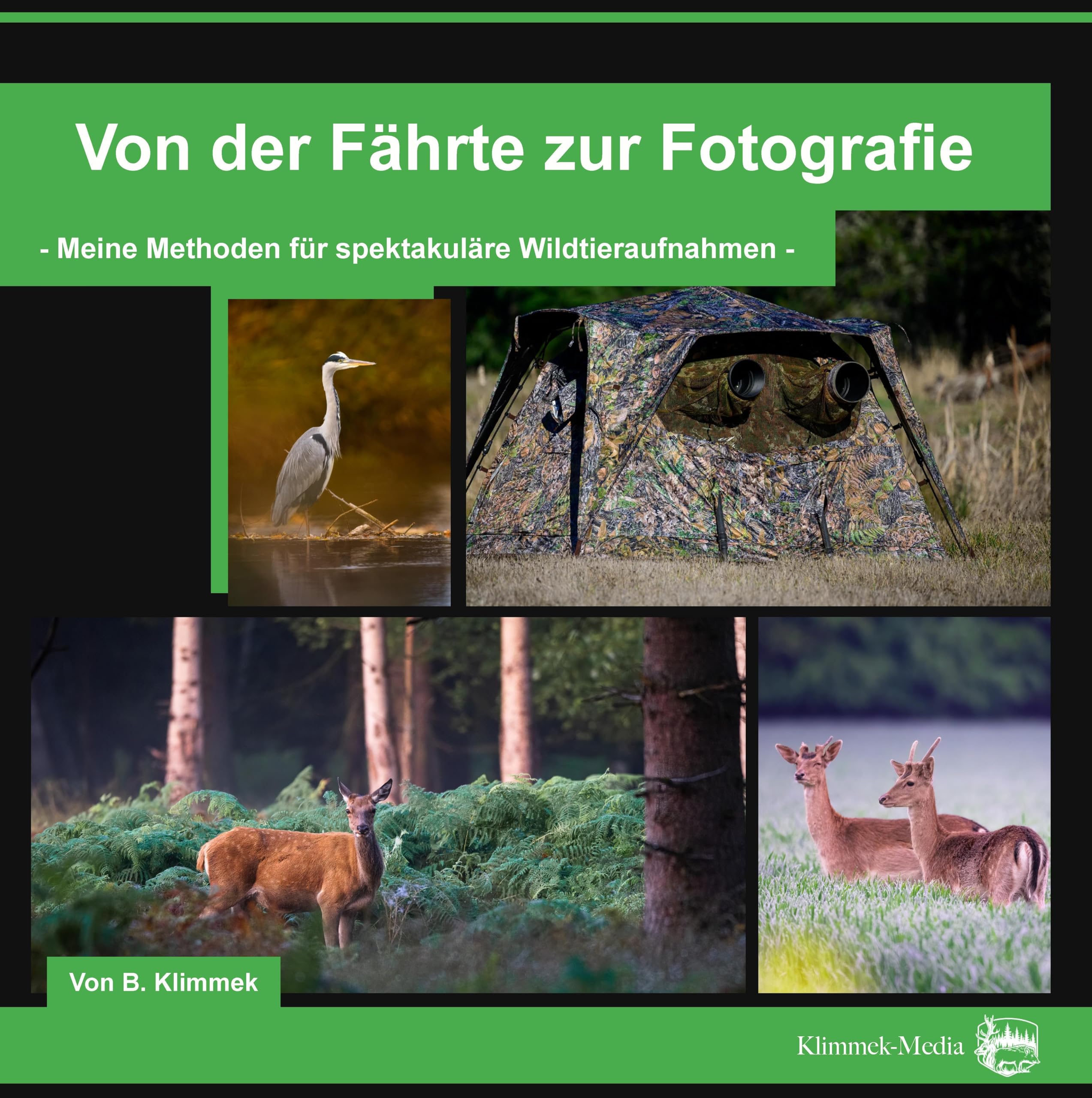 Von der Fährte zur Fotografie Computer Science