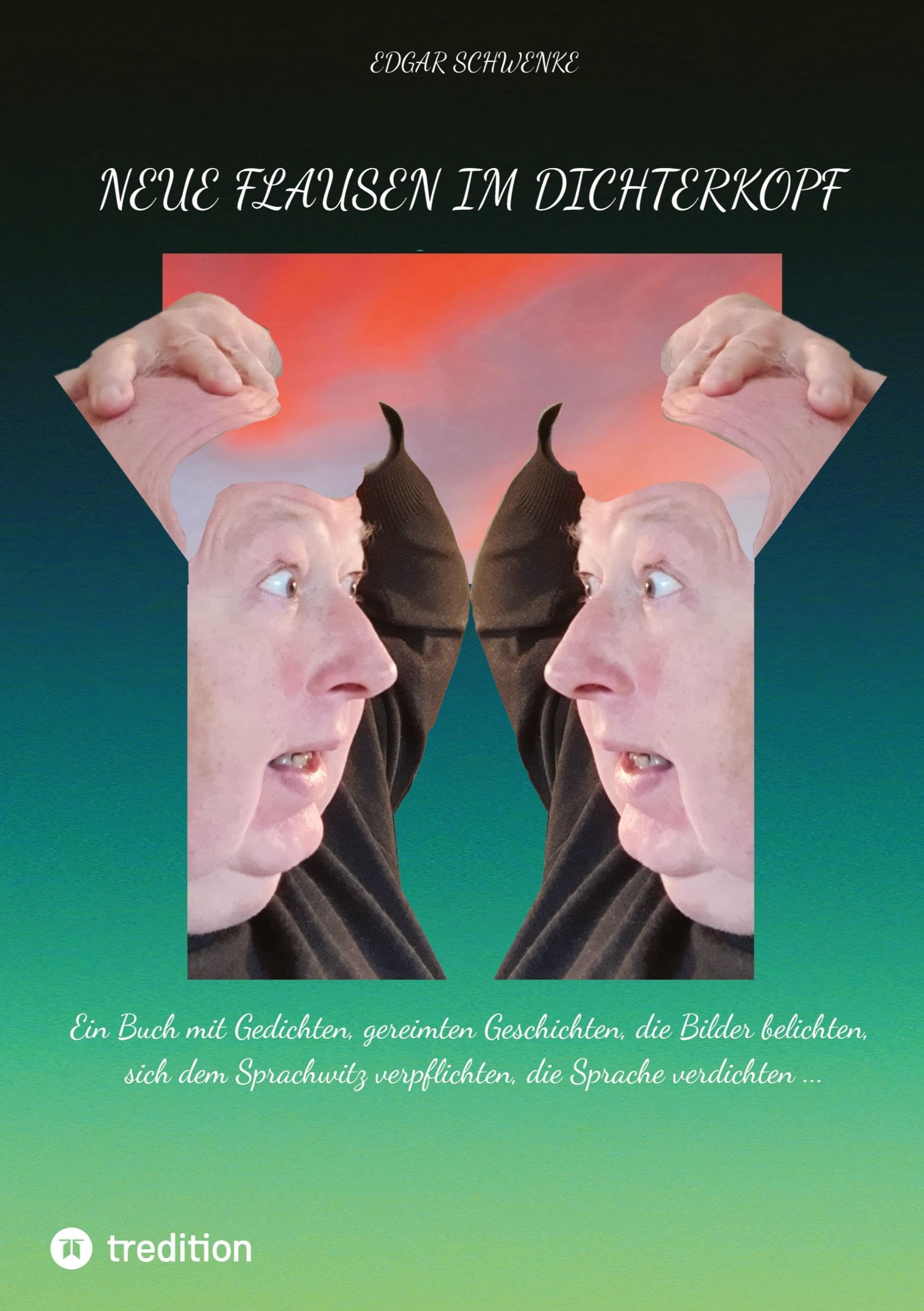 Neue Flausen im Dichterkopf Contemporary literature