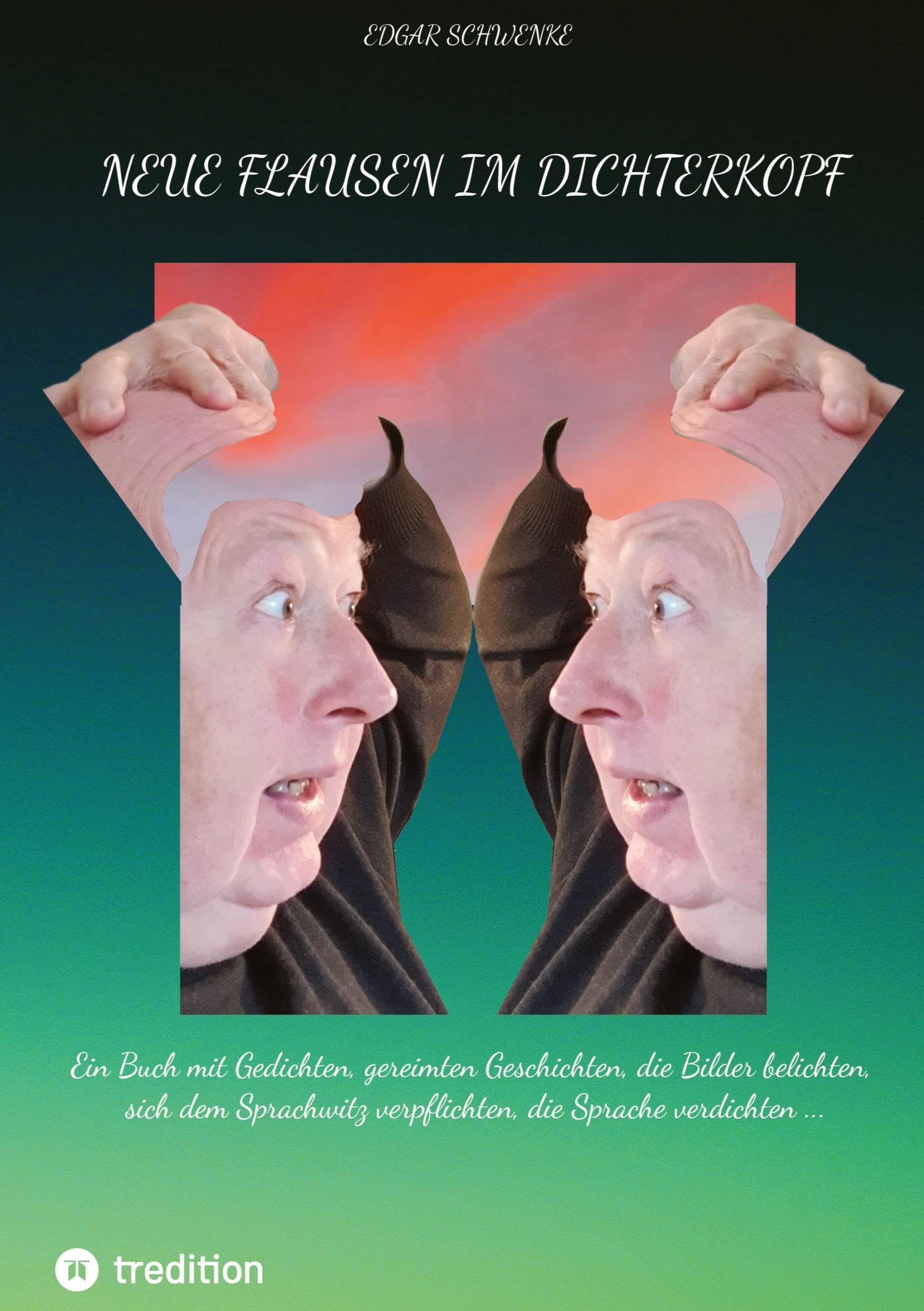 Neue Flausen im Dichterkopf Contemporary literature