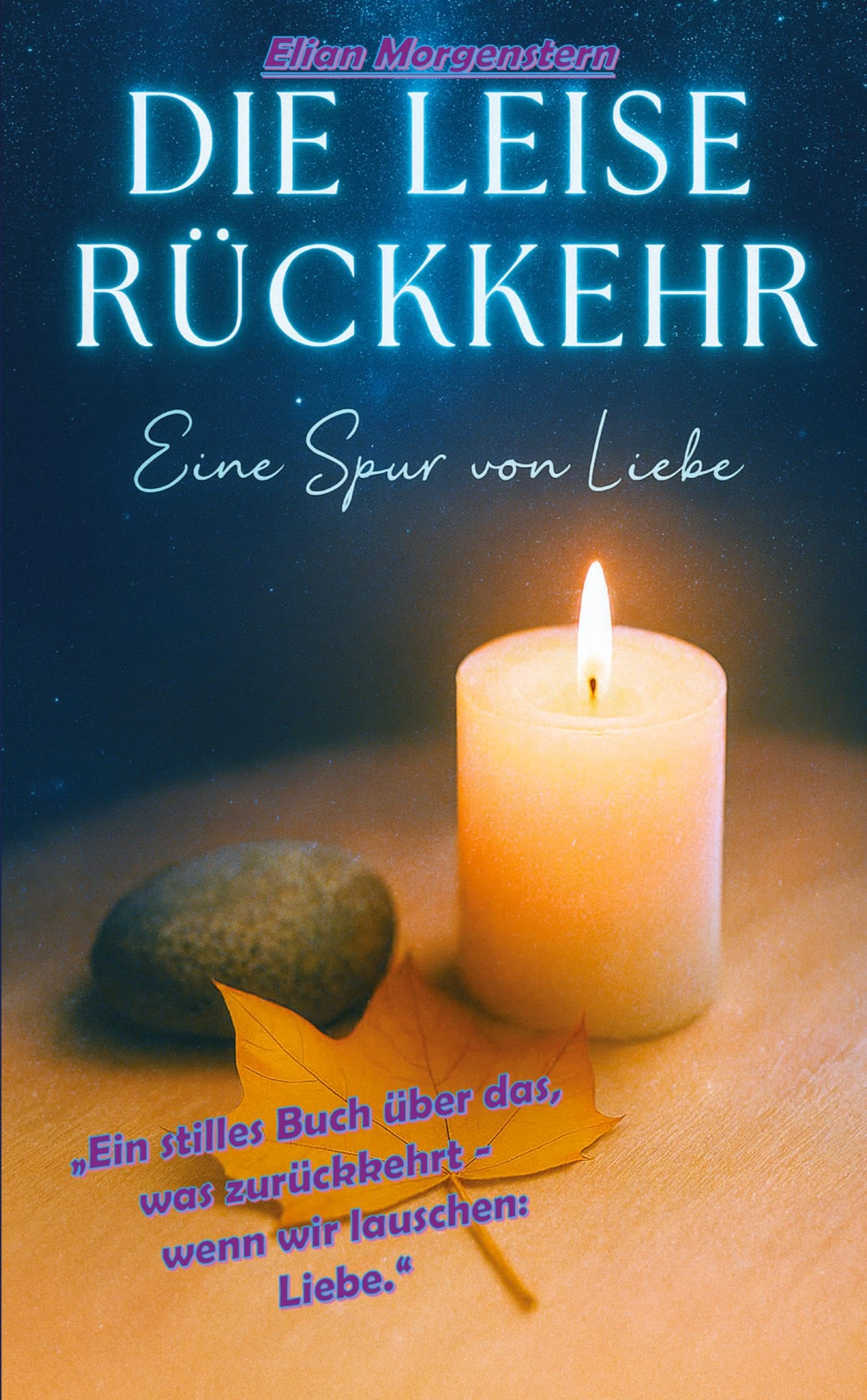 Die leise Rückkehr - Eine Spur von Liebe Contemporary literature