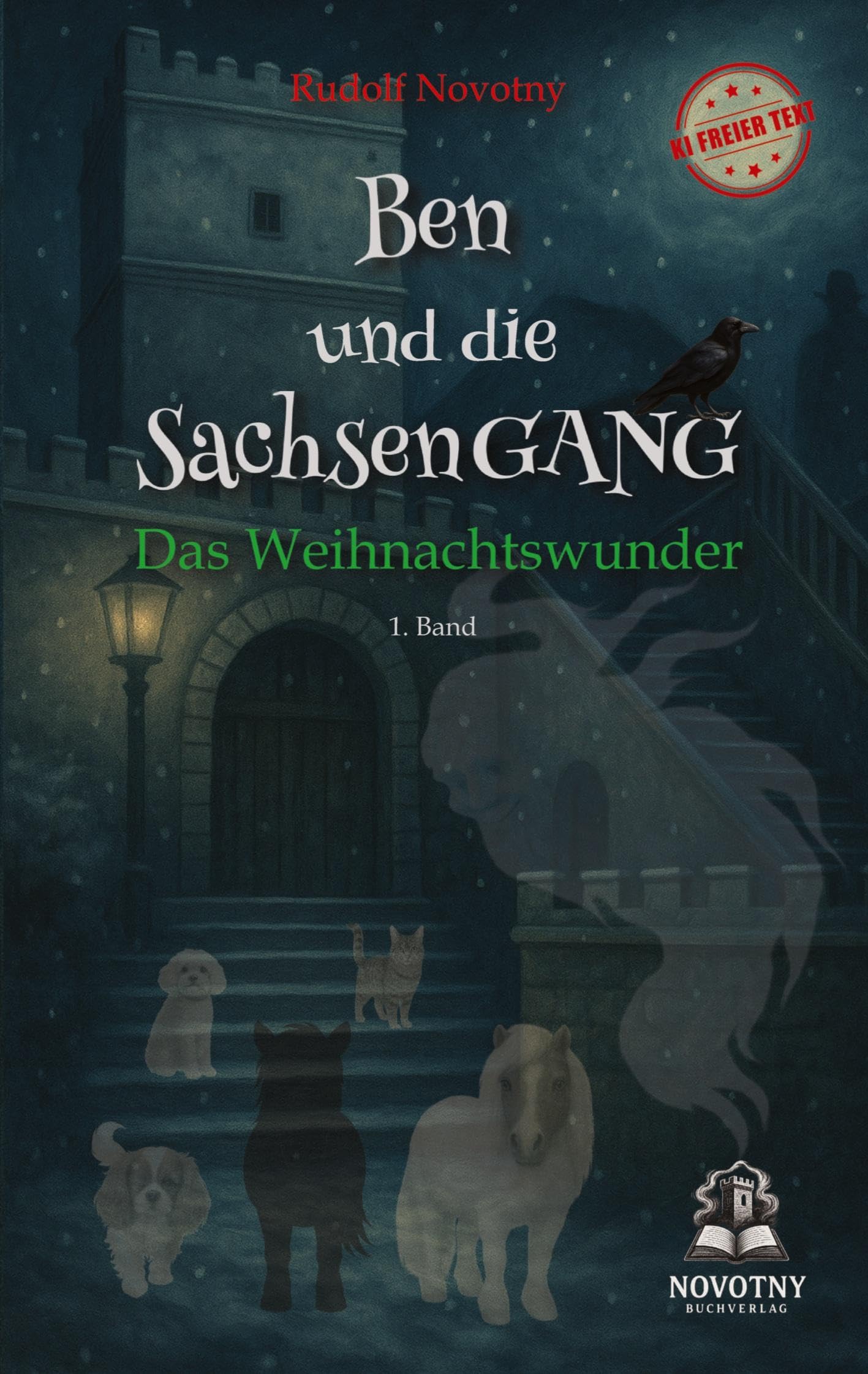 Ben und die SachsenGANG - Das Weihnachtswunder Politics & History