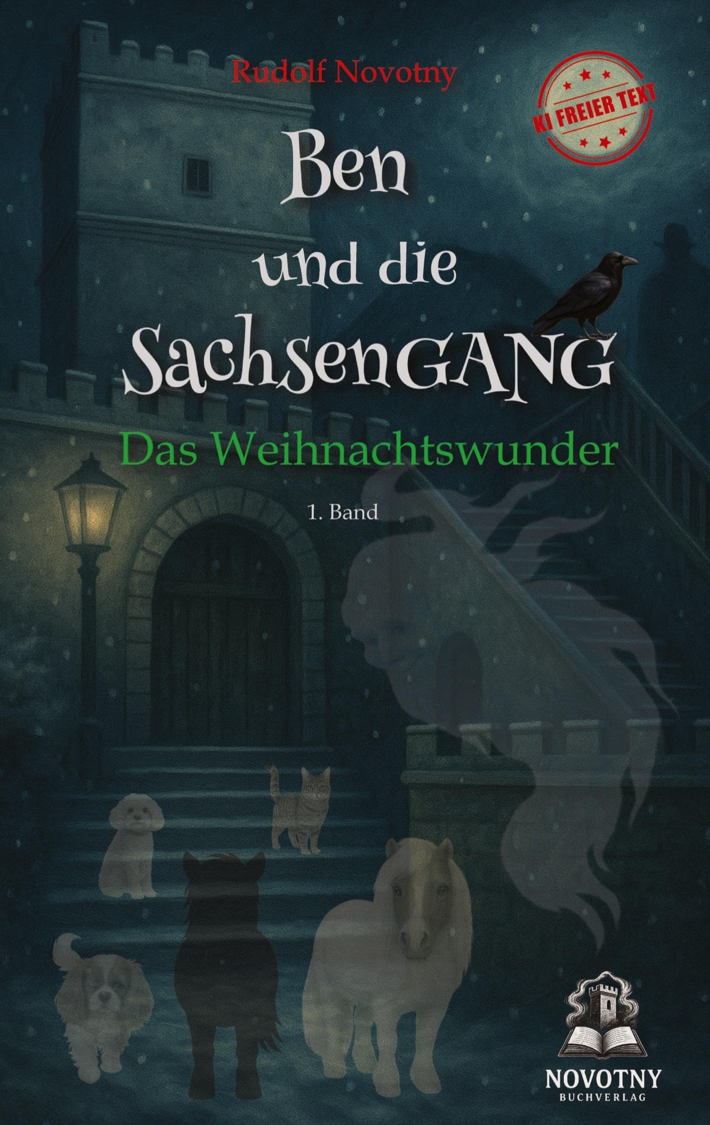 Ben und die SachsenGANG - Das Weihnachtswunder Politics & History