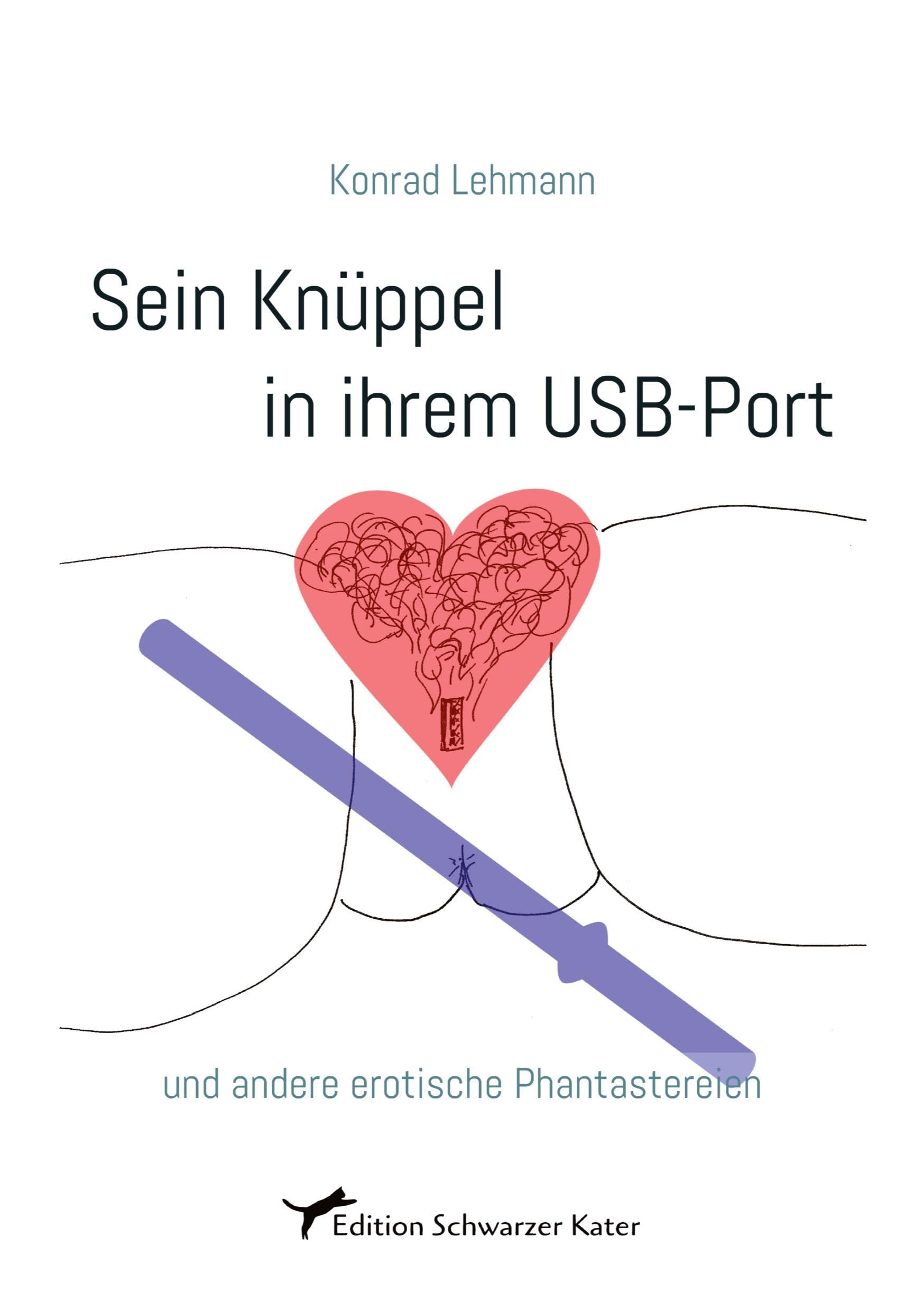 Sein Knüppel in ihrem USB-Port Contemporary literature