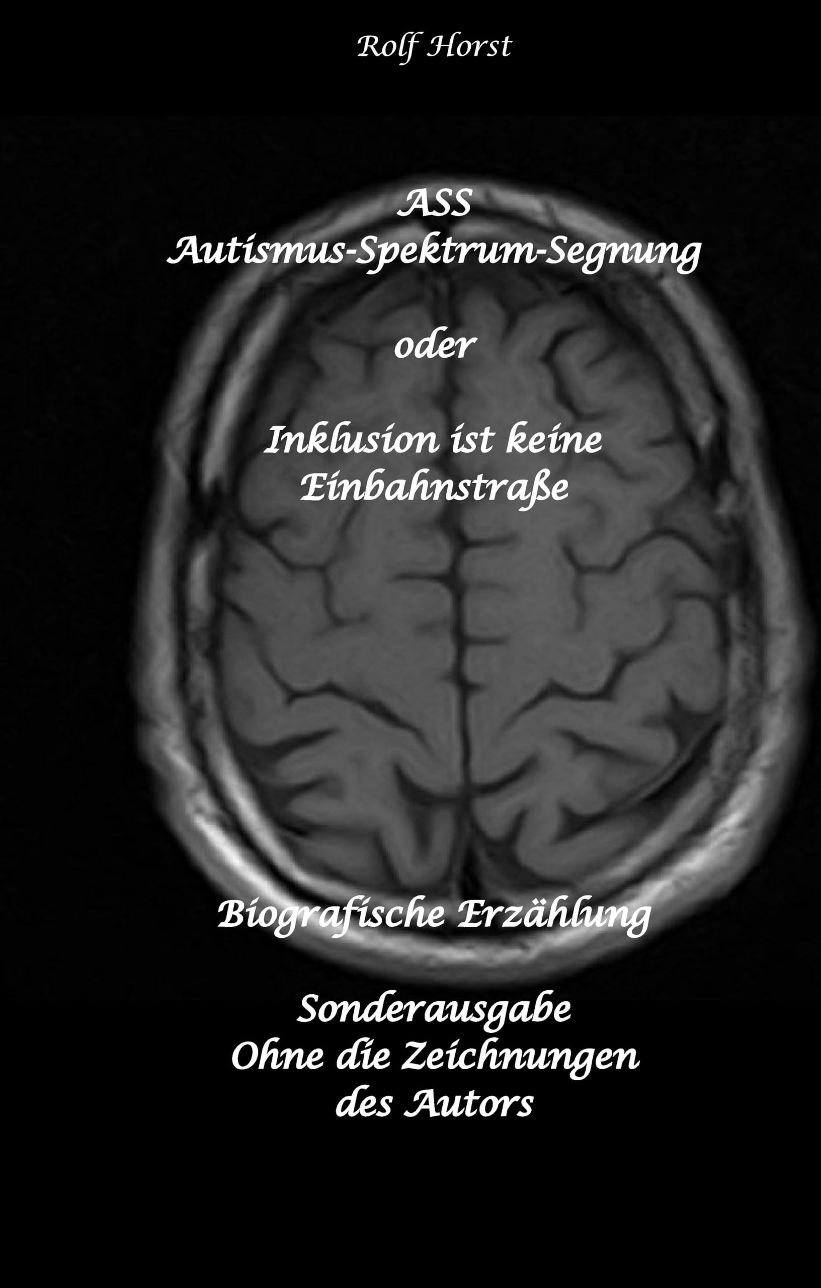ASS Autismus-Spektrums-Segnung - Inklusion ist keine Einbahnstraße: hochfunktionaler Autismus, Mobbing, Trauma, Sucht, Häusliche Gewalt, Psychotherapie, Umzug, Inklusion, Katholische Kirche, Zen Social Sciences