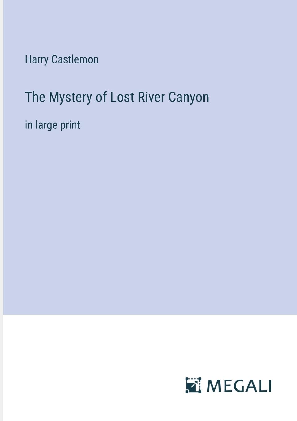 The Mystery of Lost River Canyon: in large print Contemporary literature