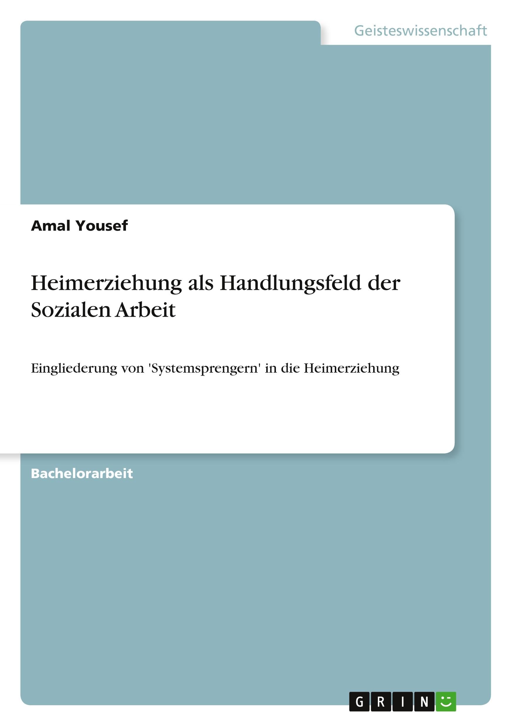 Heimerziehung als Handlungsfeld der Sozialen Arbeit: Eingliederung von 'Systemsprengern' in die Heimerziehung Education & Training