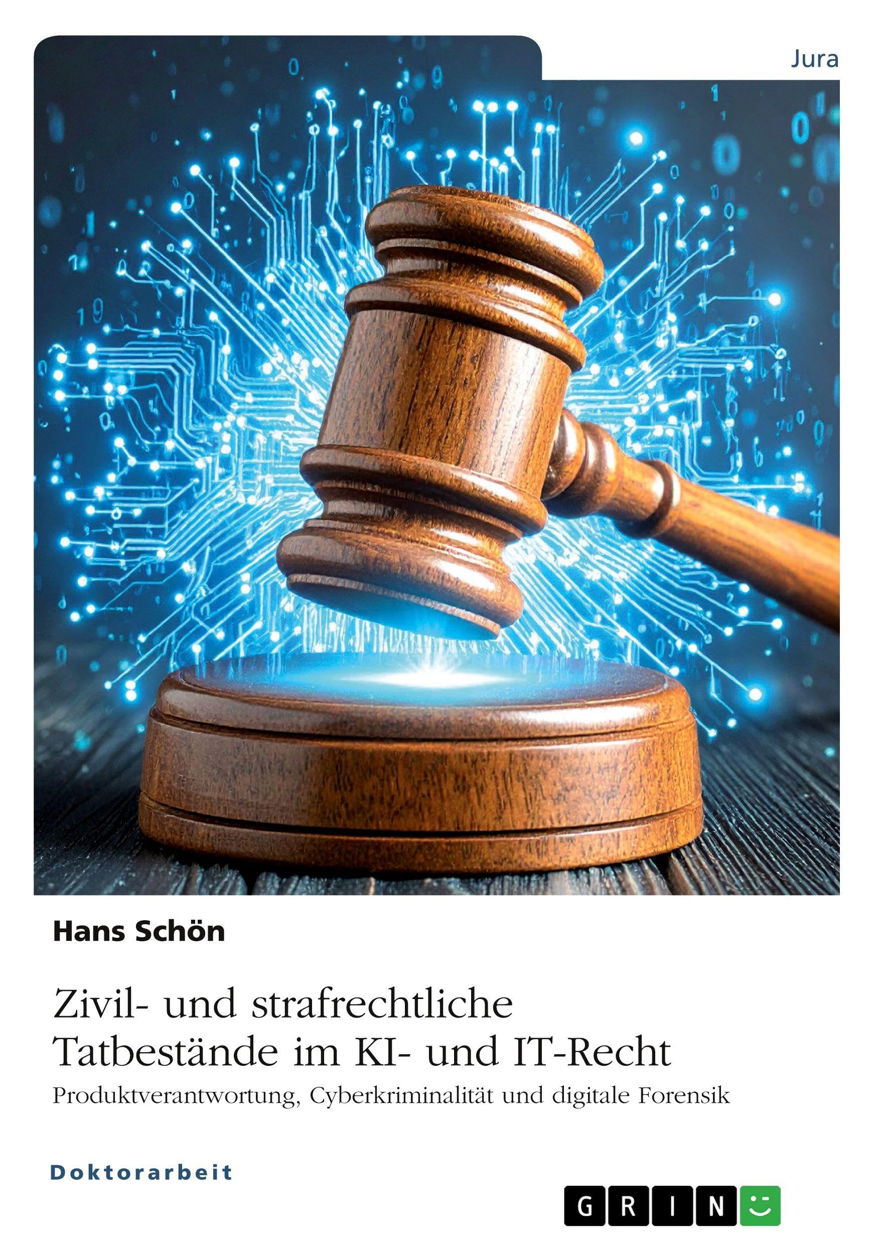 Zivil- und strafrechtliche Tatbestände im KI- und IT-Recht Law