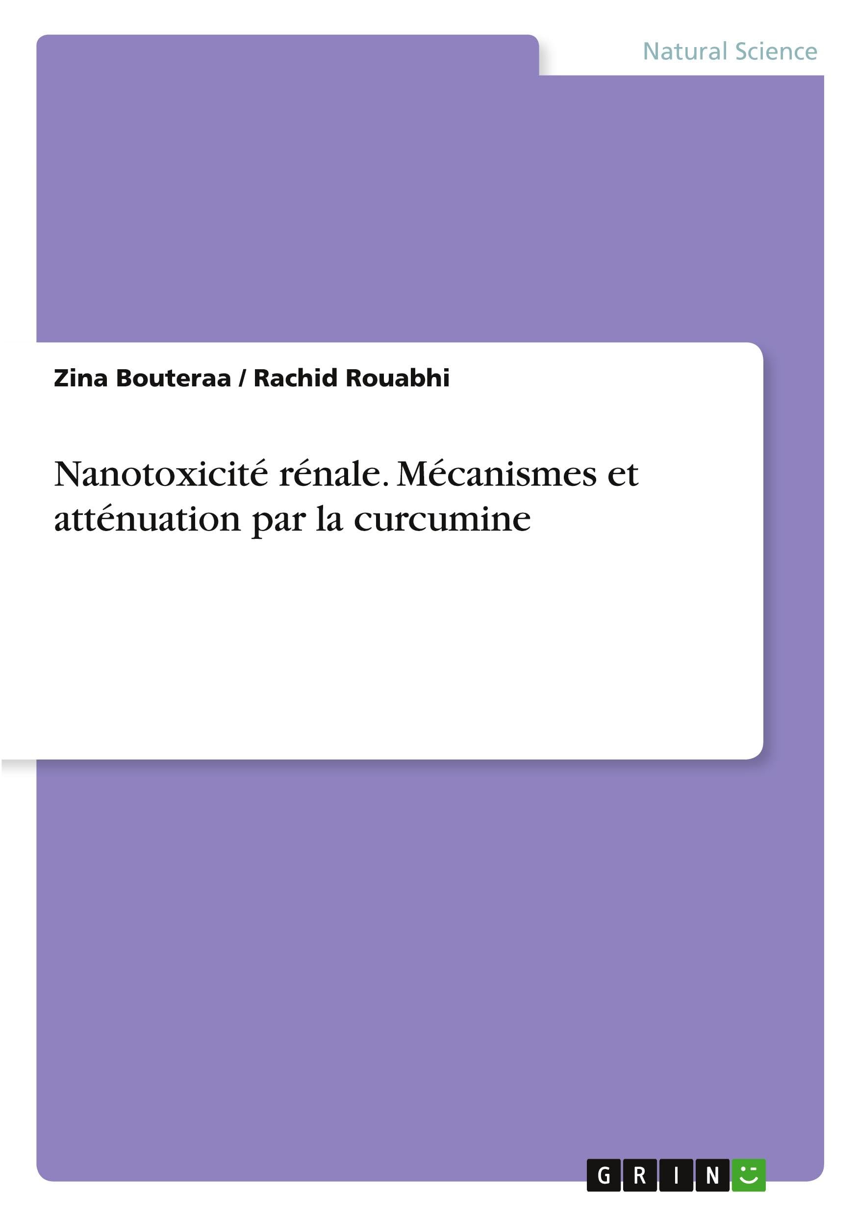 Nanotoxicité rénale. Mécanismes et atténuation par la curcumine Natural Sciences