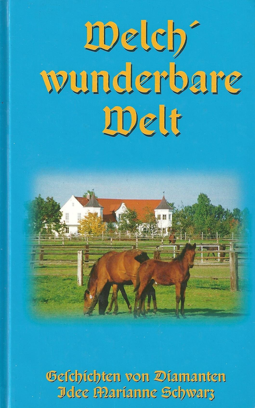 Welch´ wunderbare Welt (Geschichten von Amway-Diamanten) (1.Auflage!) - Marianne Schwarz (Idee), Max Schwarz Books