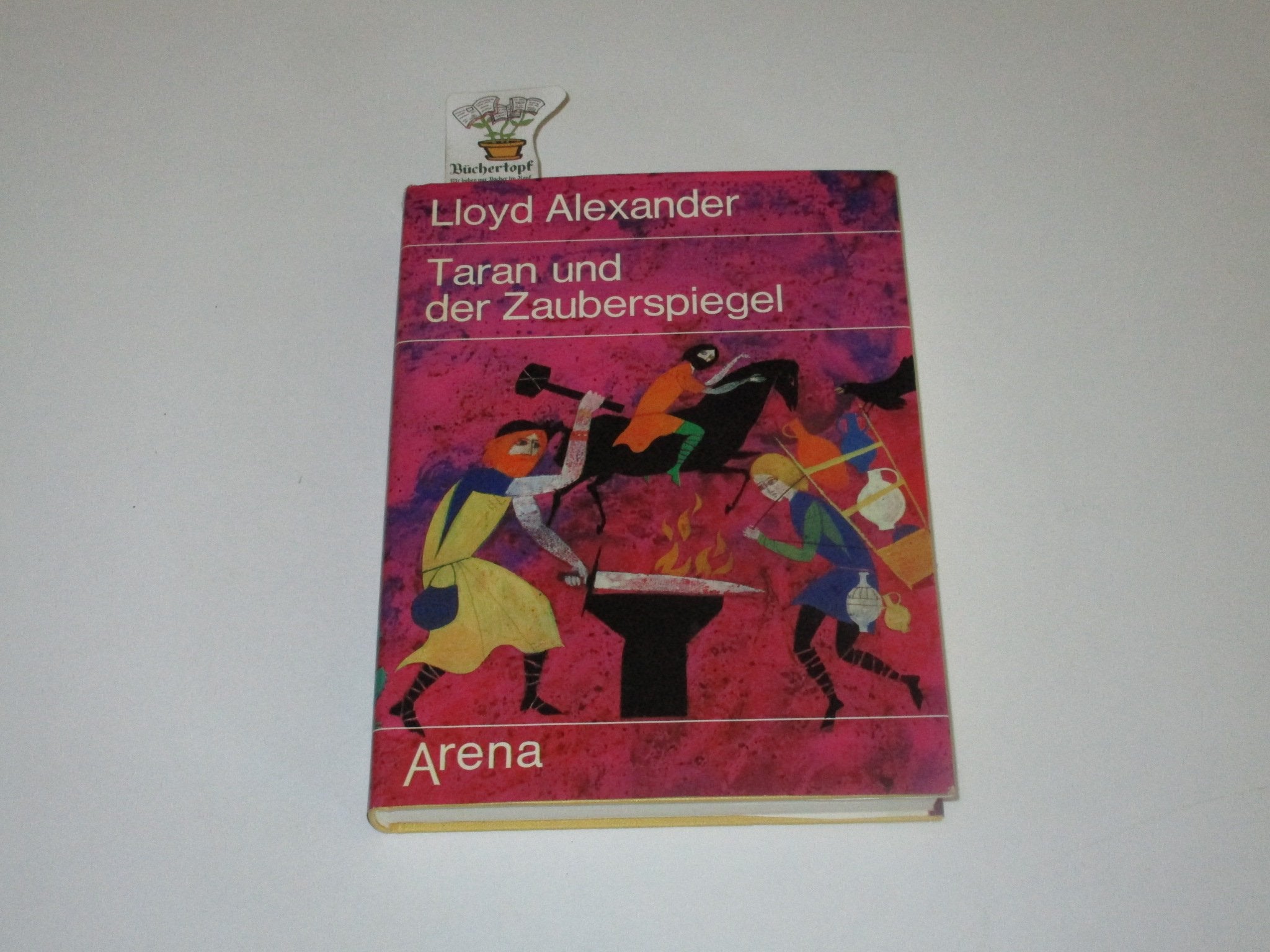 Taran und der Zauberspiegel Fiction books for children