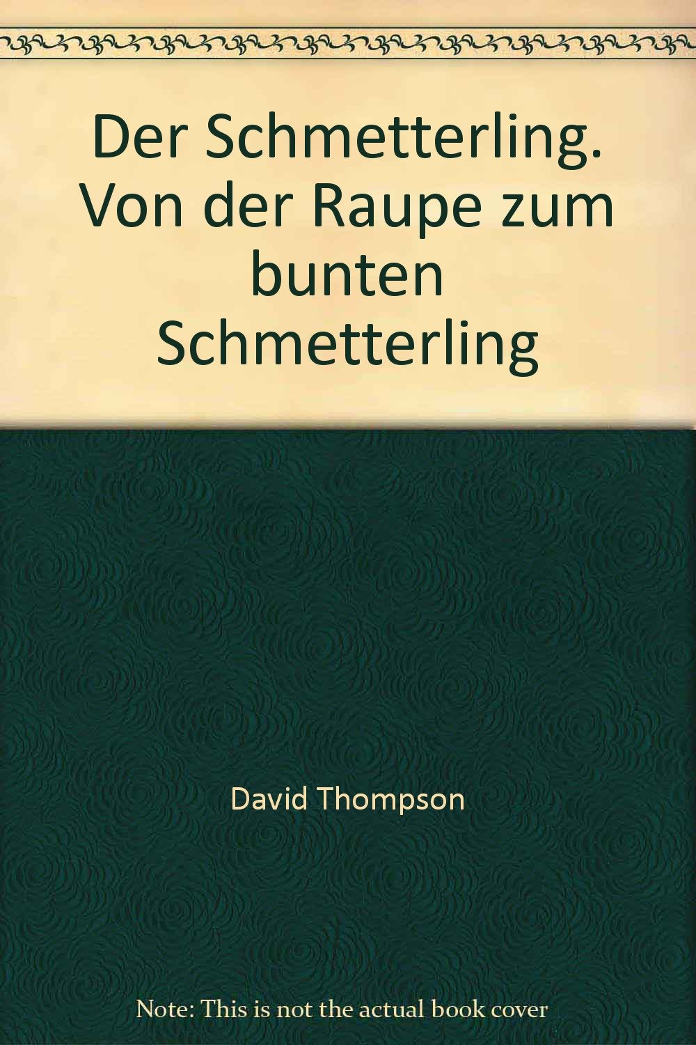 Der Schmetterling. Von der Raupe zum bunten Schmetterling Books
