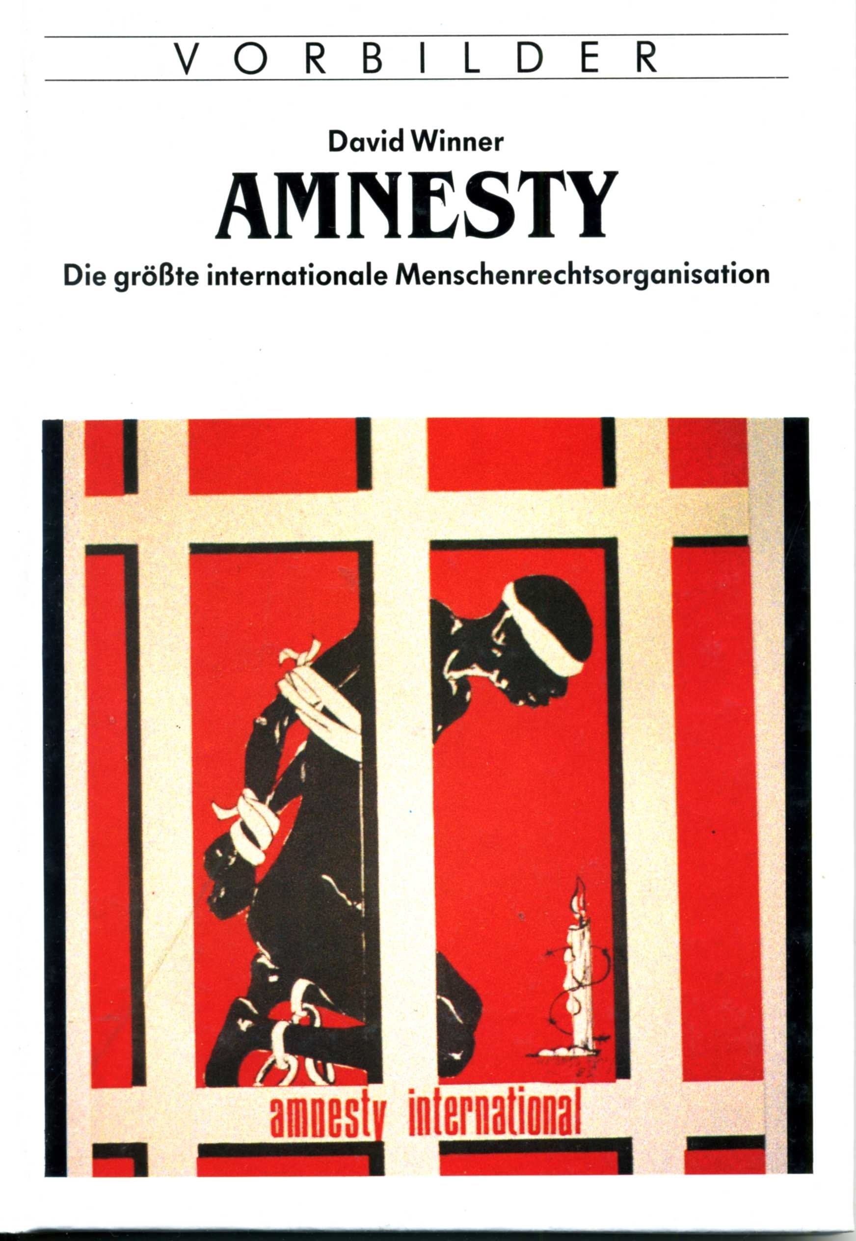 Amnesty. Die grösste internationale Menschenrechtsorganisation Politics & History