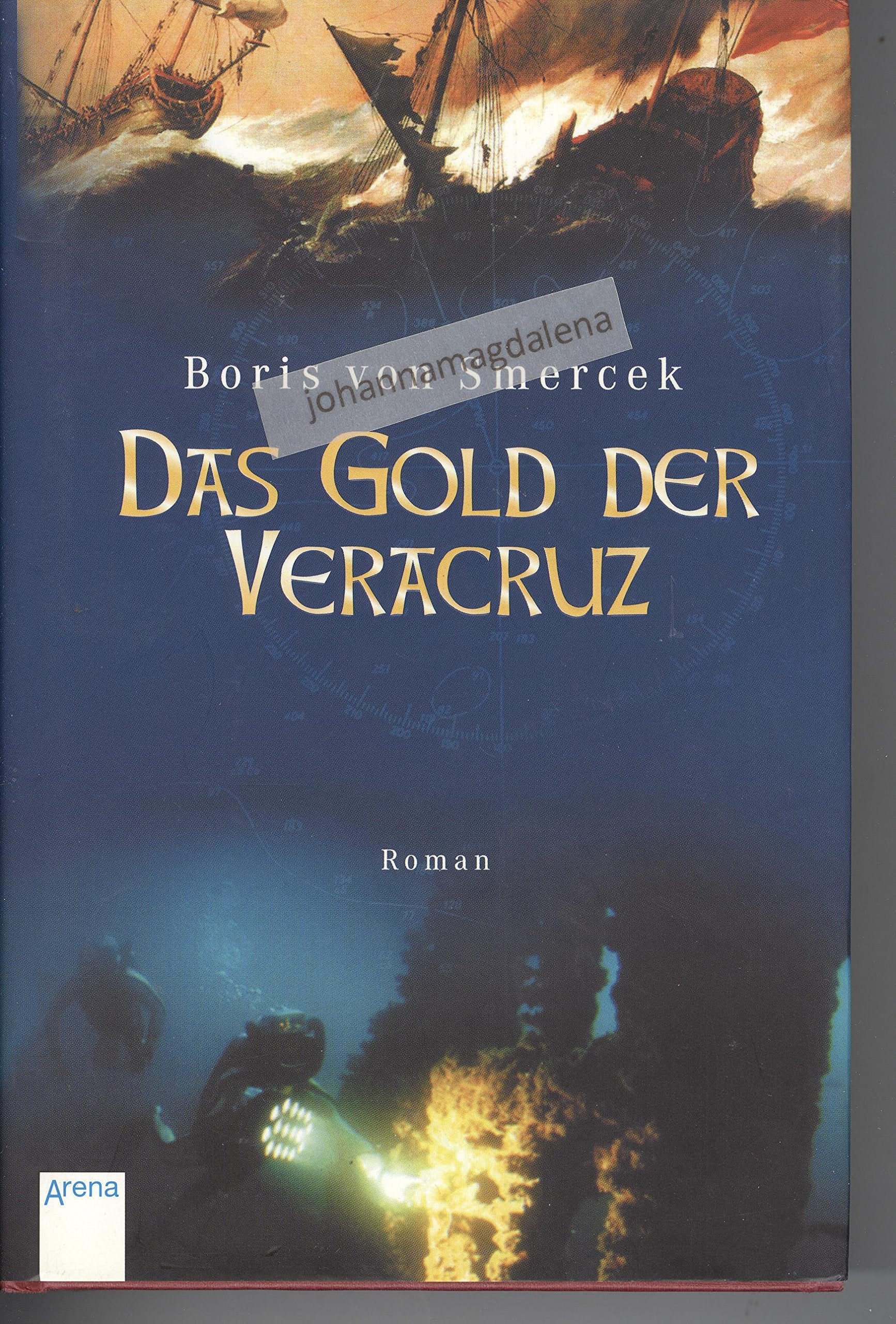 Das Gold der Veracruz. Abenteuerliche Schatzsuche auf hoher See Fiction