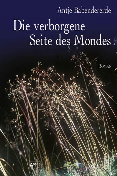 Die verborgene Seite des Mondes: Roman. Nominiert für den Jugendbuchpreis Buxtehuder Bulle 2008 Fantasy & Sci-Fi