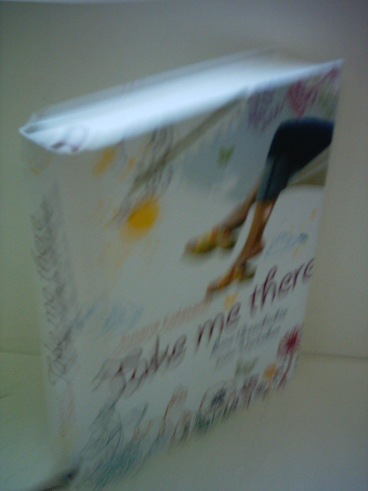 Take me there: Eine Geschichte zum Verlieben (Jugendbuch HC) Fantasy & Sci-Fi