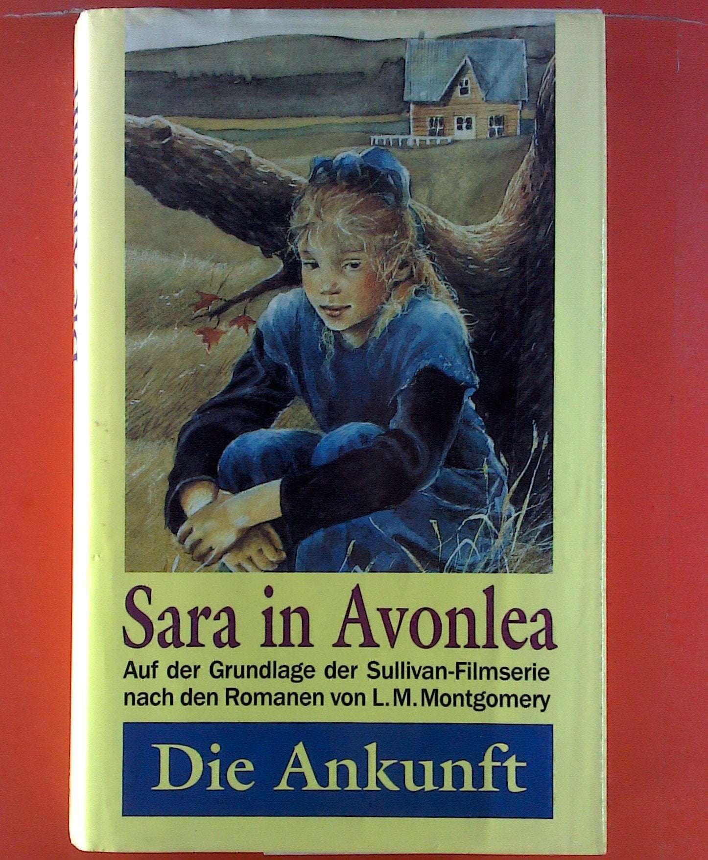Sara in Avonlea, Bd.1, Die Ankunft Books